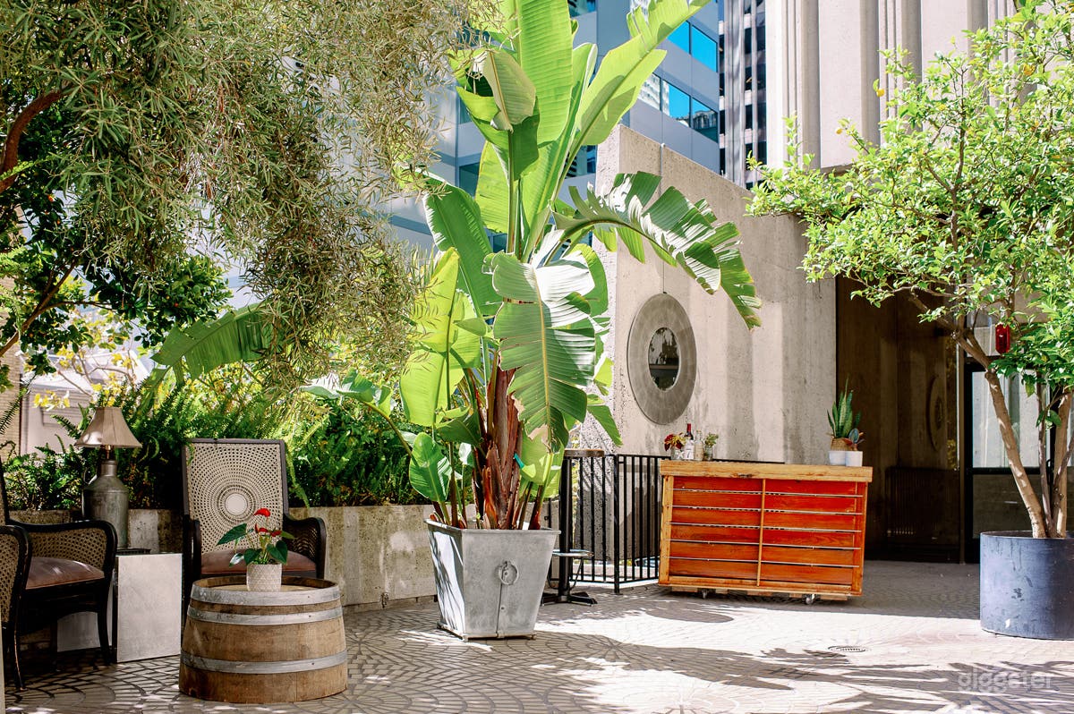 Urban Oasis with Lush Patio in the Heart of SF Photo 2