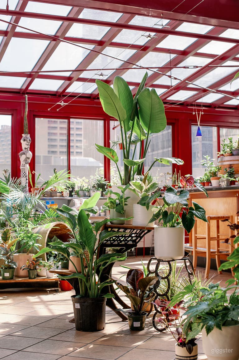  Urban Oasis with Lush Patio in the Heart of SF 