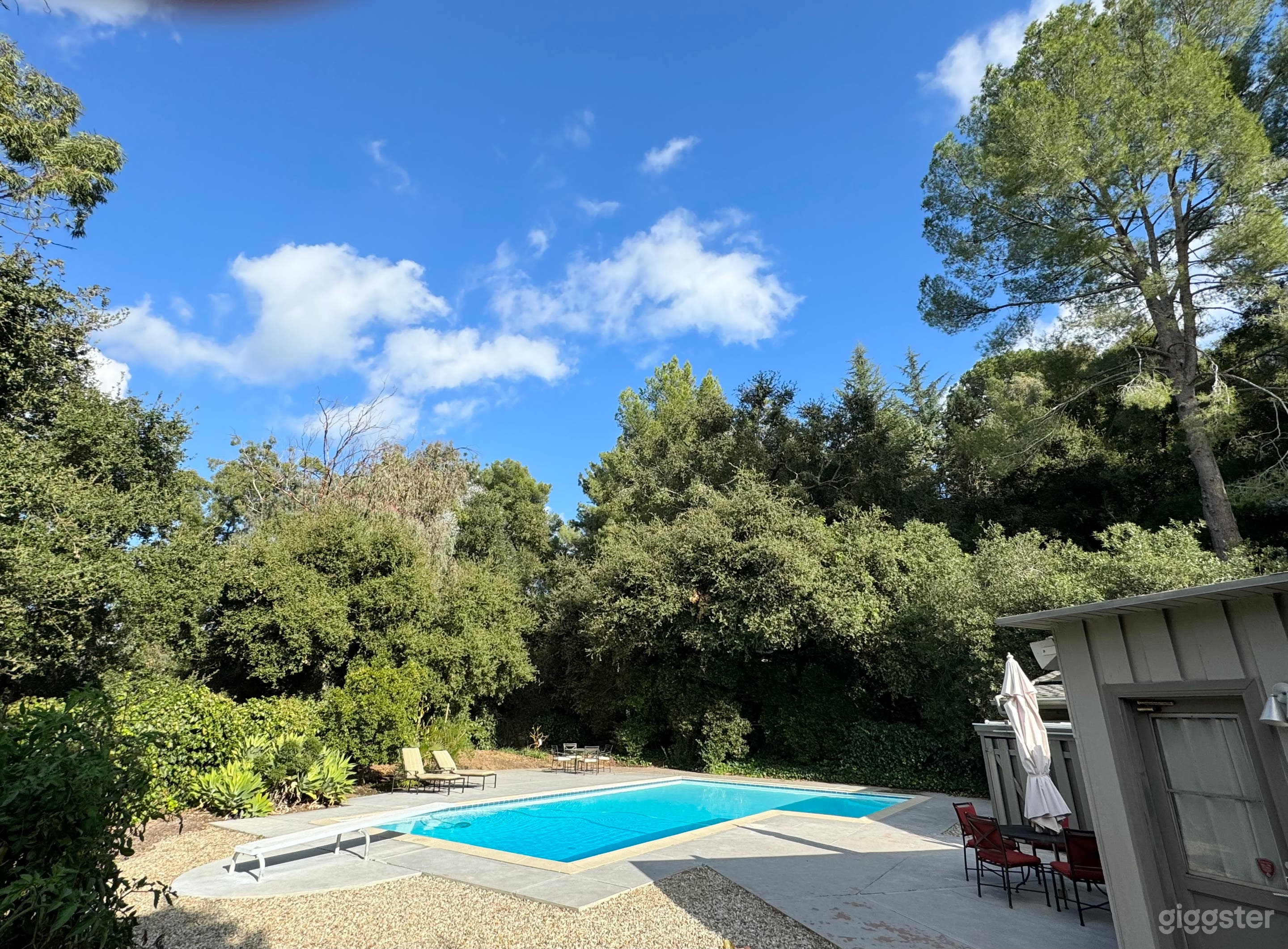 1954 Mid-Century Pool  Photo 3