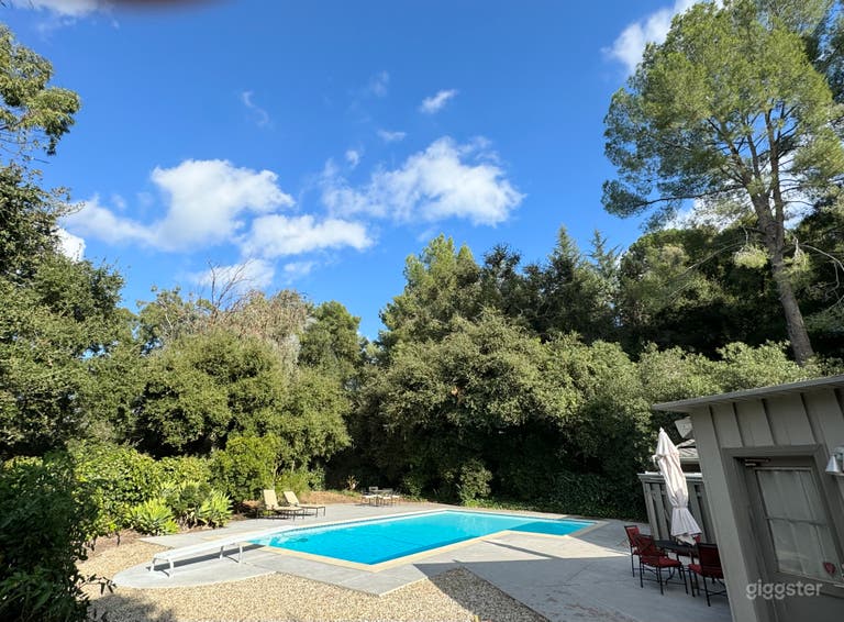  1954 Mid-Century Pool  