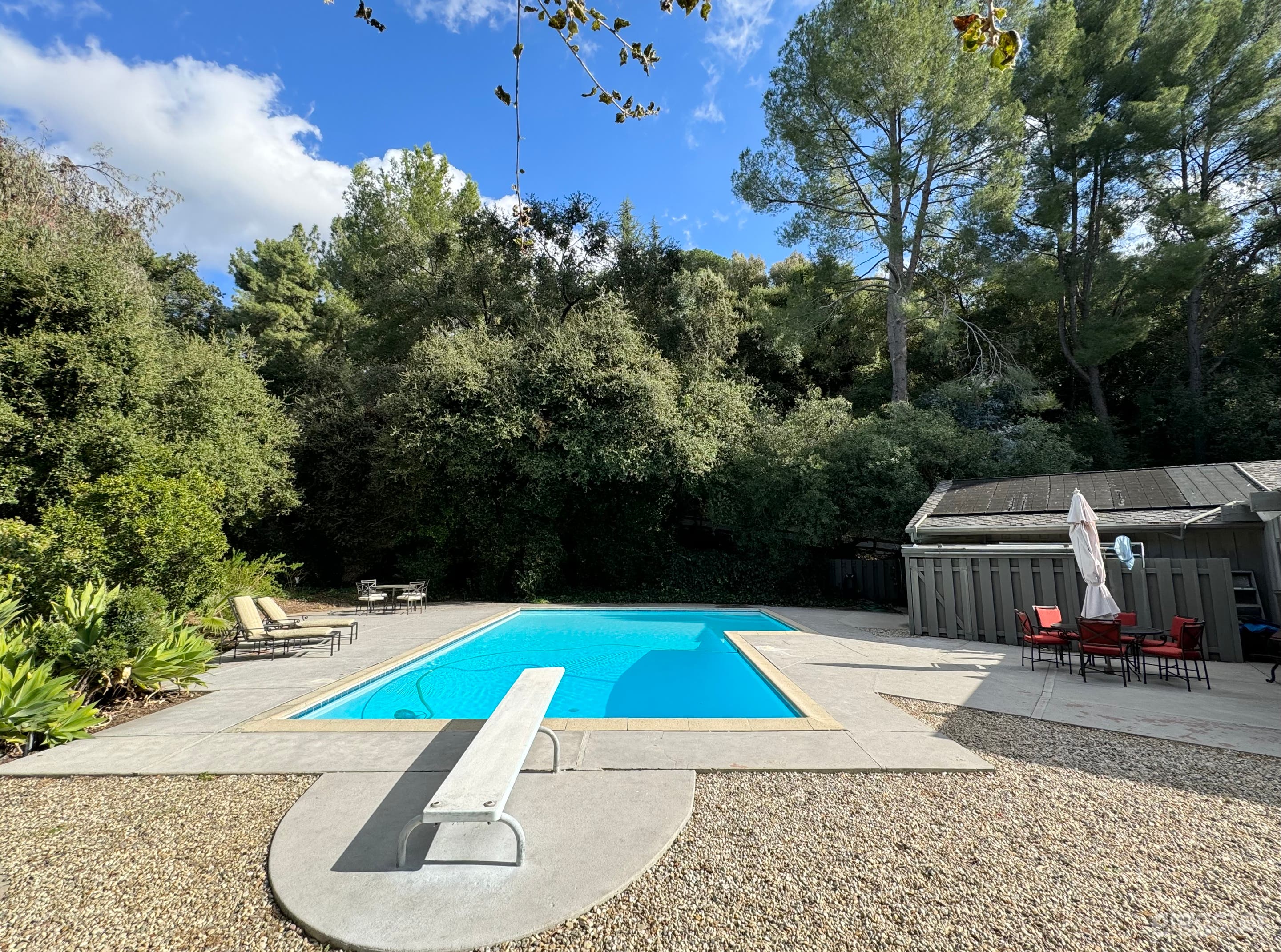 1954 Mid-Century Pool  Photo 2