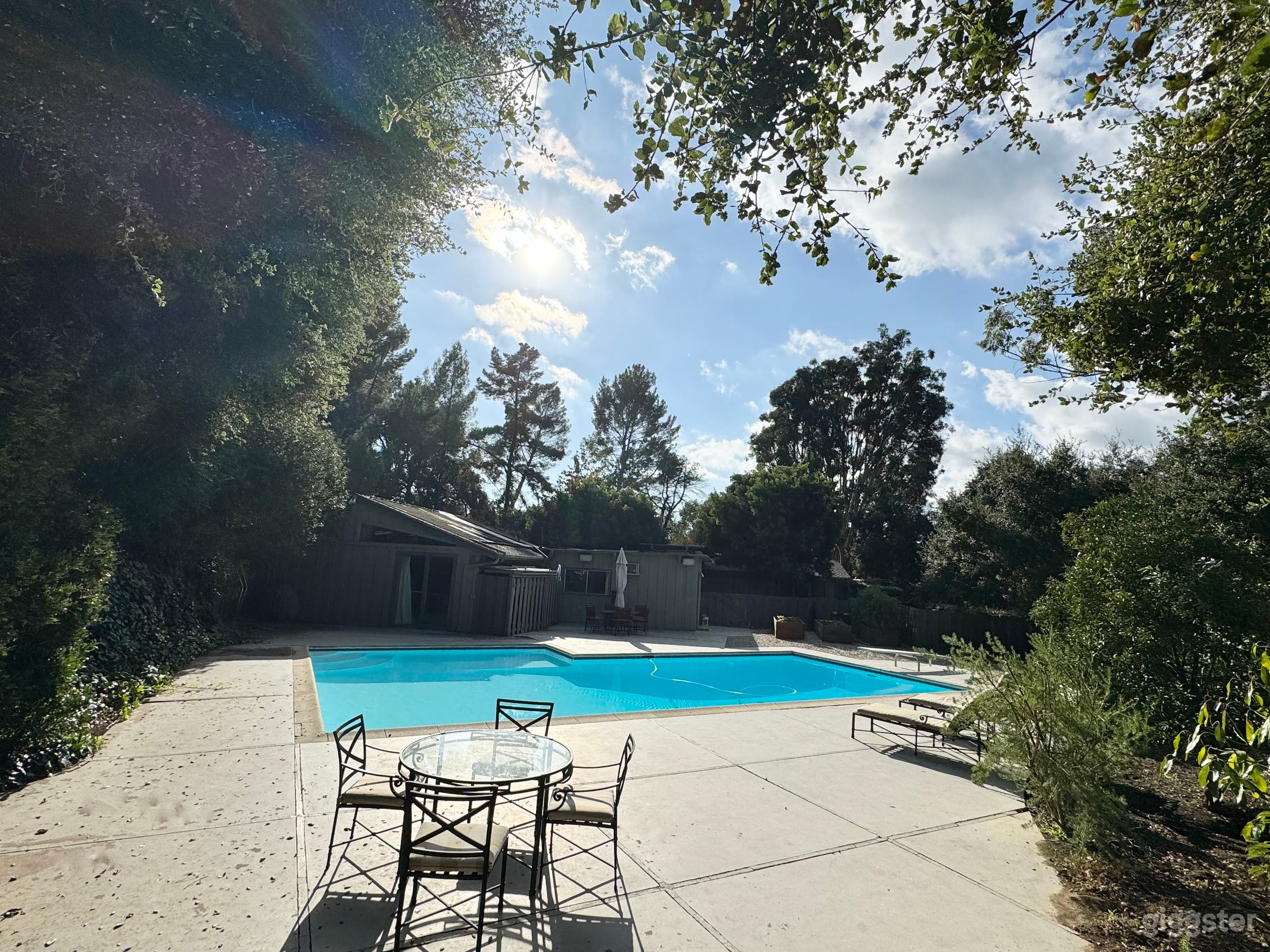 1954 Mid-Century Pool  Photo 4