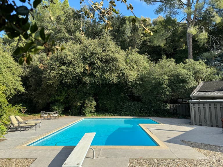  1954 Mid-Century Pool  