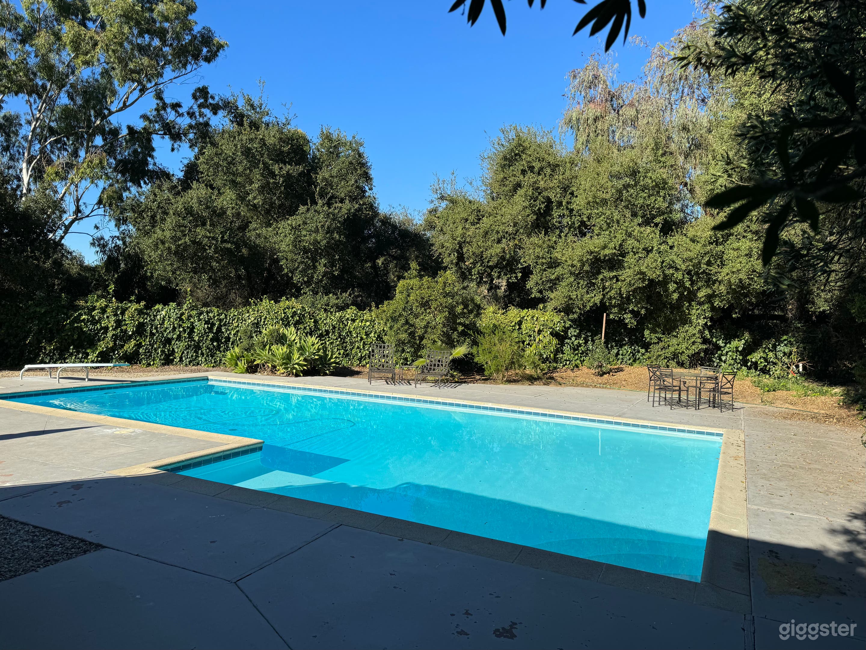 1954 Mid-Century Pool  Photo 1