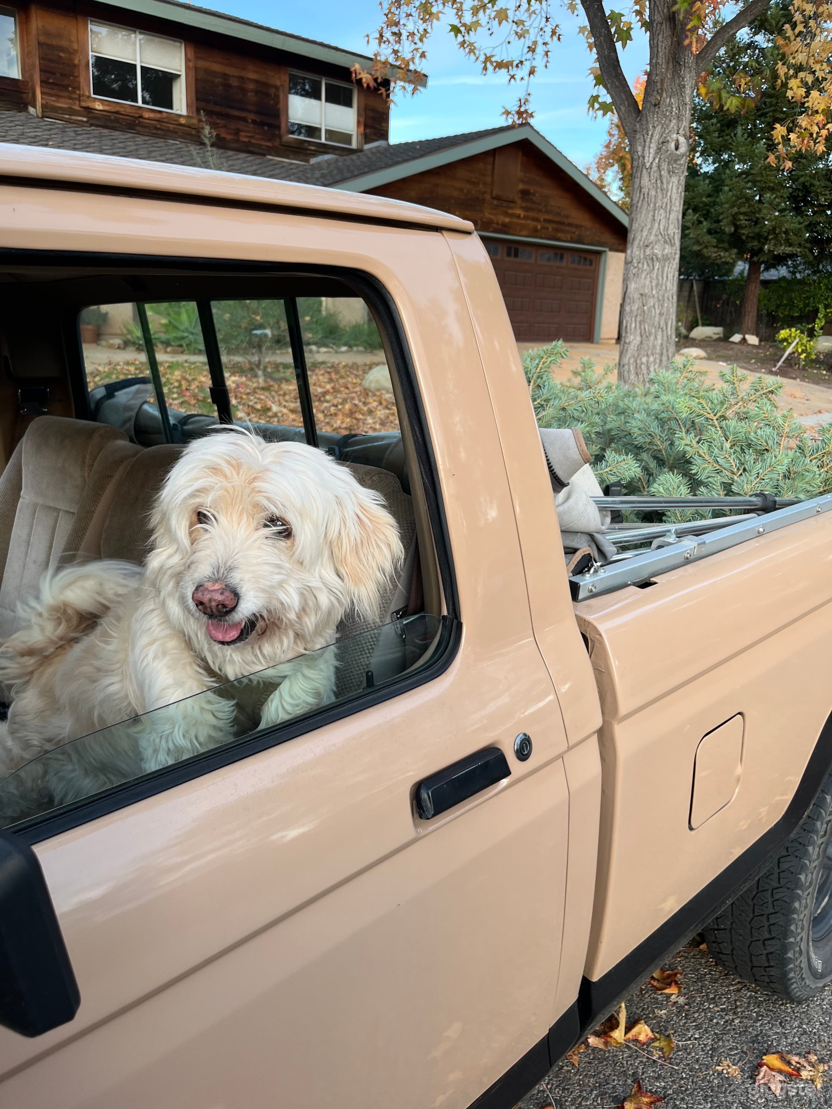 '88 Ranger 4x4 in Two-tone Tan Photo 3