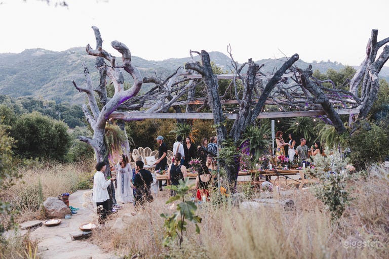  OAK TREE SANCTUARY | Weddings, Dinners, Events 