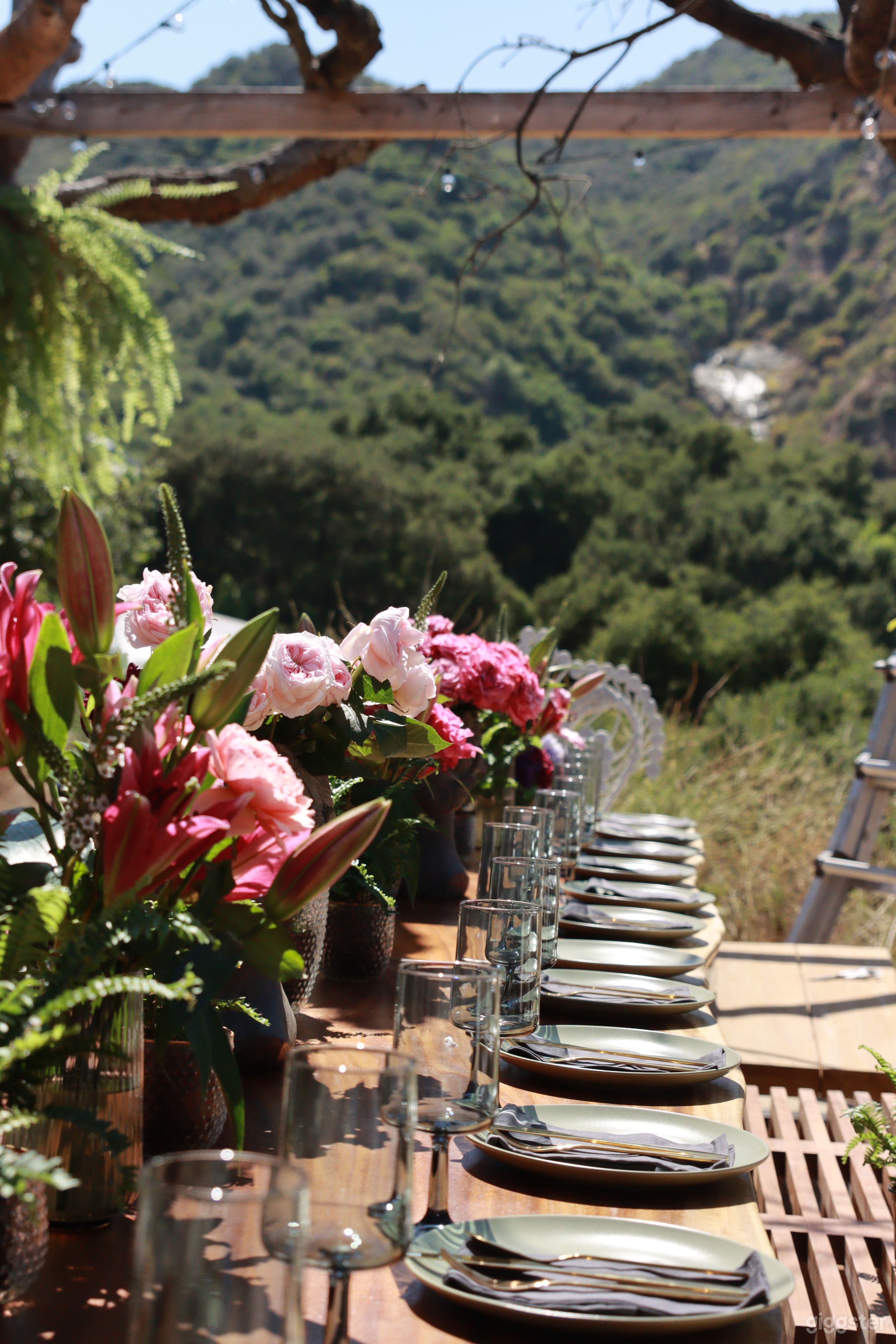 OAK TREE SANCTUARY | Weddings, Dinners, Events Photo 3