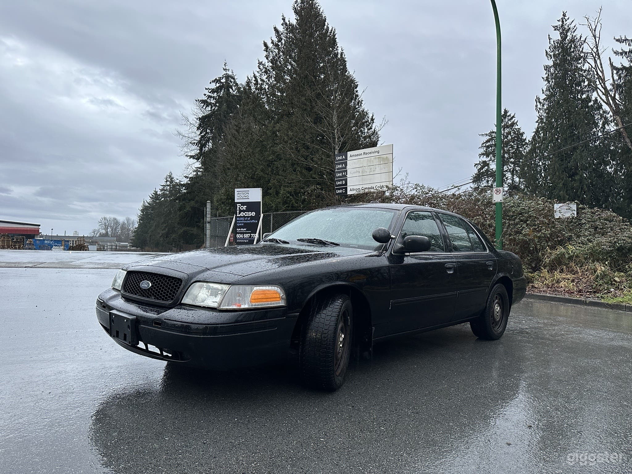 Black Crown Victoria (Spotlight) Photo 2