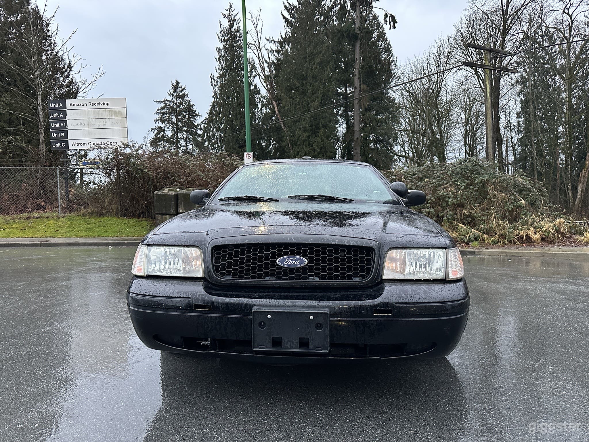 Black Crown Victoria (Spotlight) Photo 3