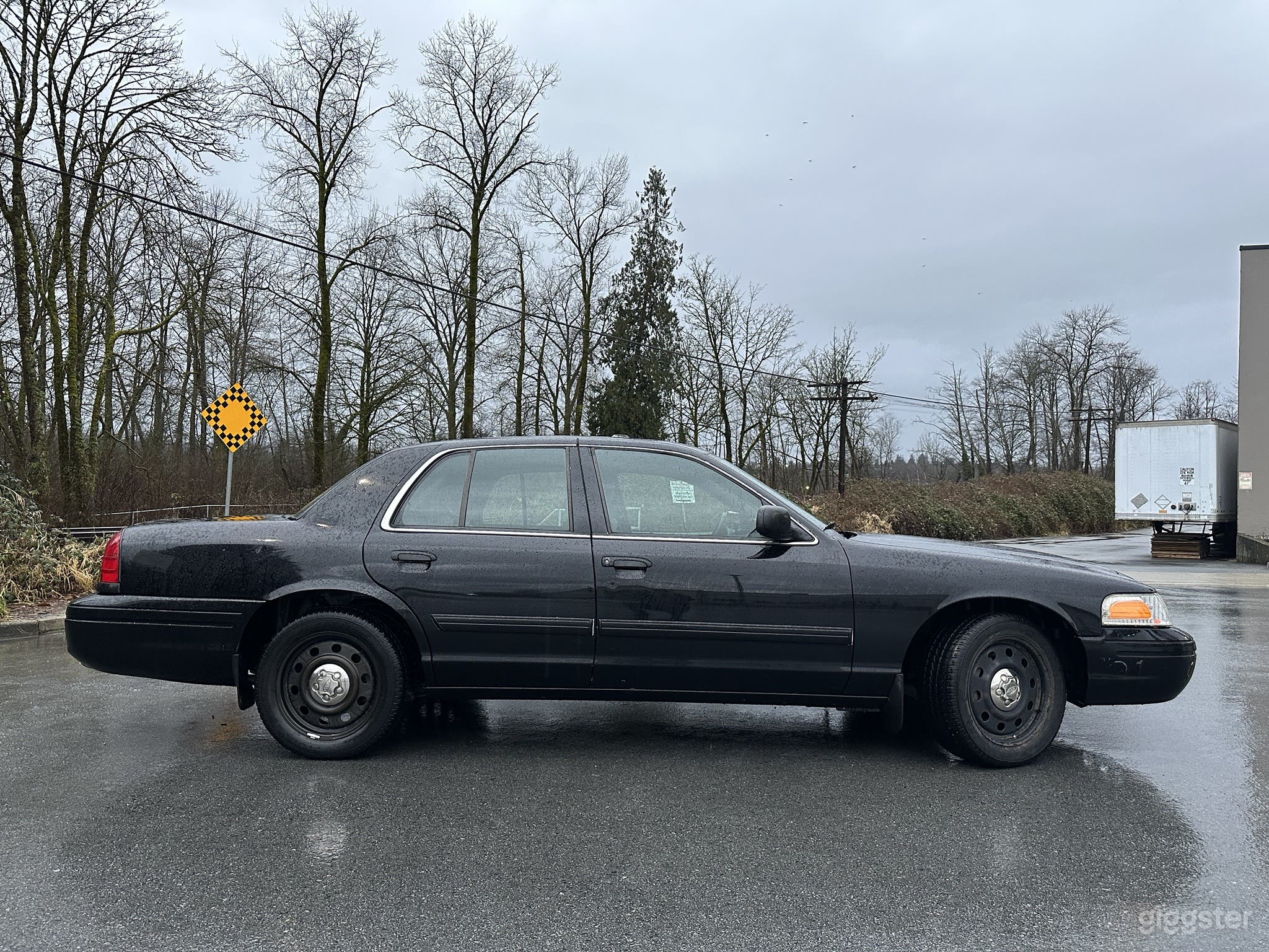 Black Crown Victoria (Spotlight) Photo 1