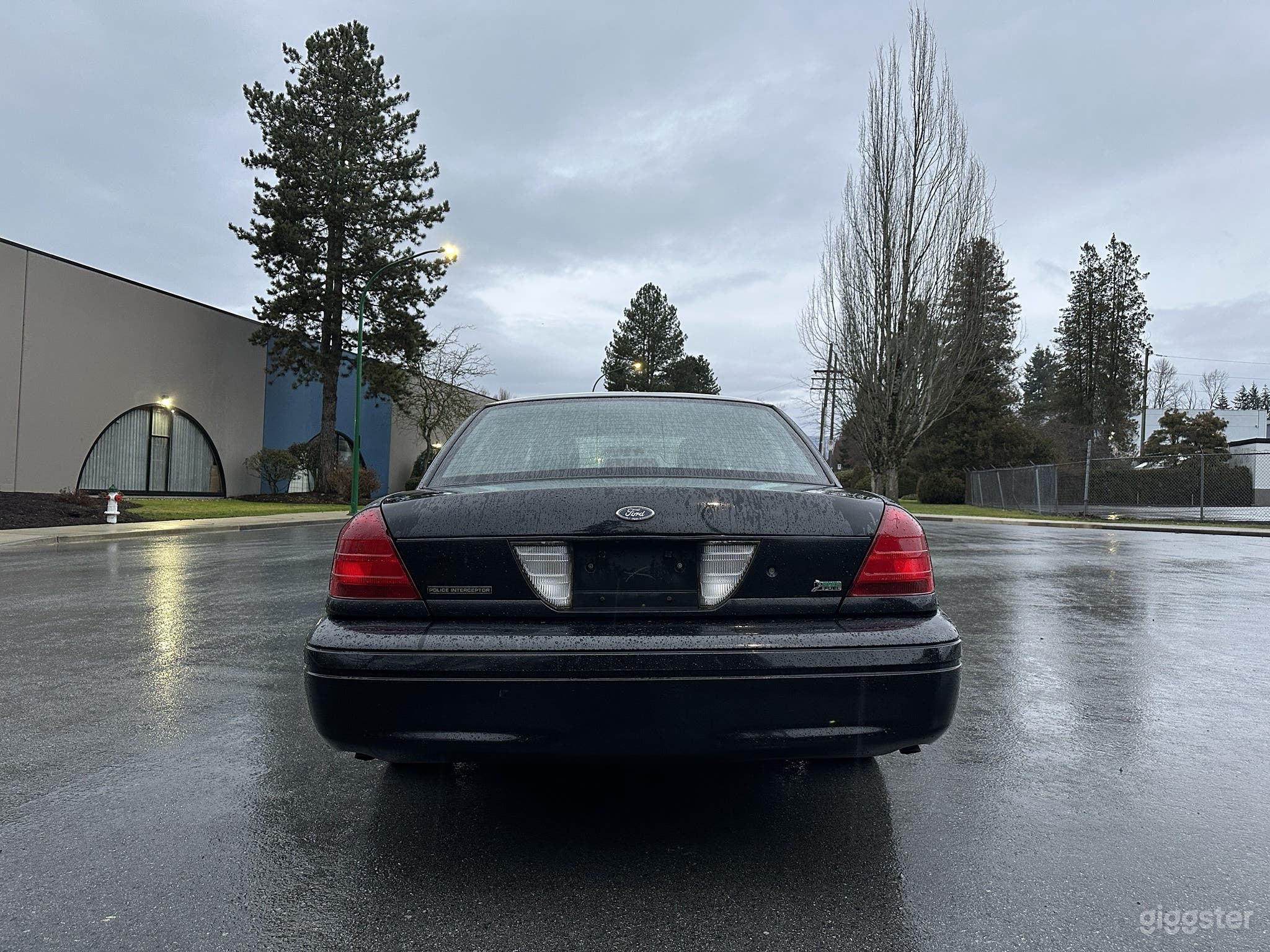 Black Crown Victoria (Spotlight) Photo 4