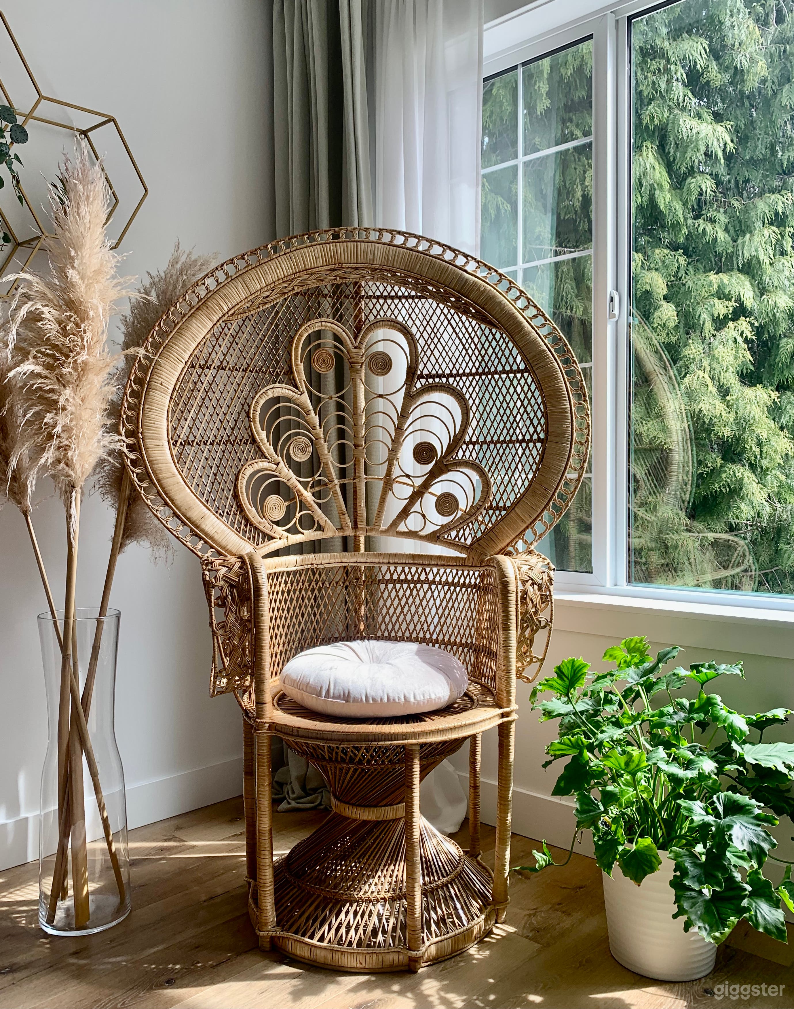 Prop- King Peacock Chair