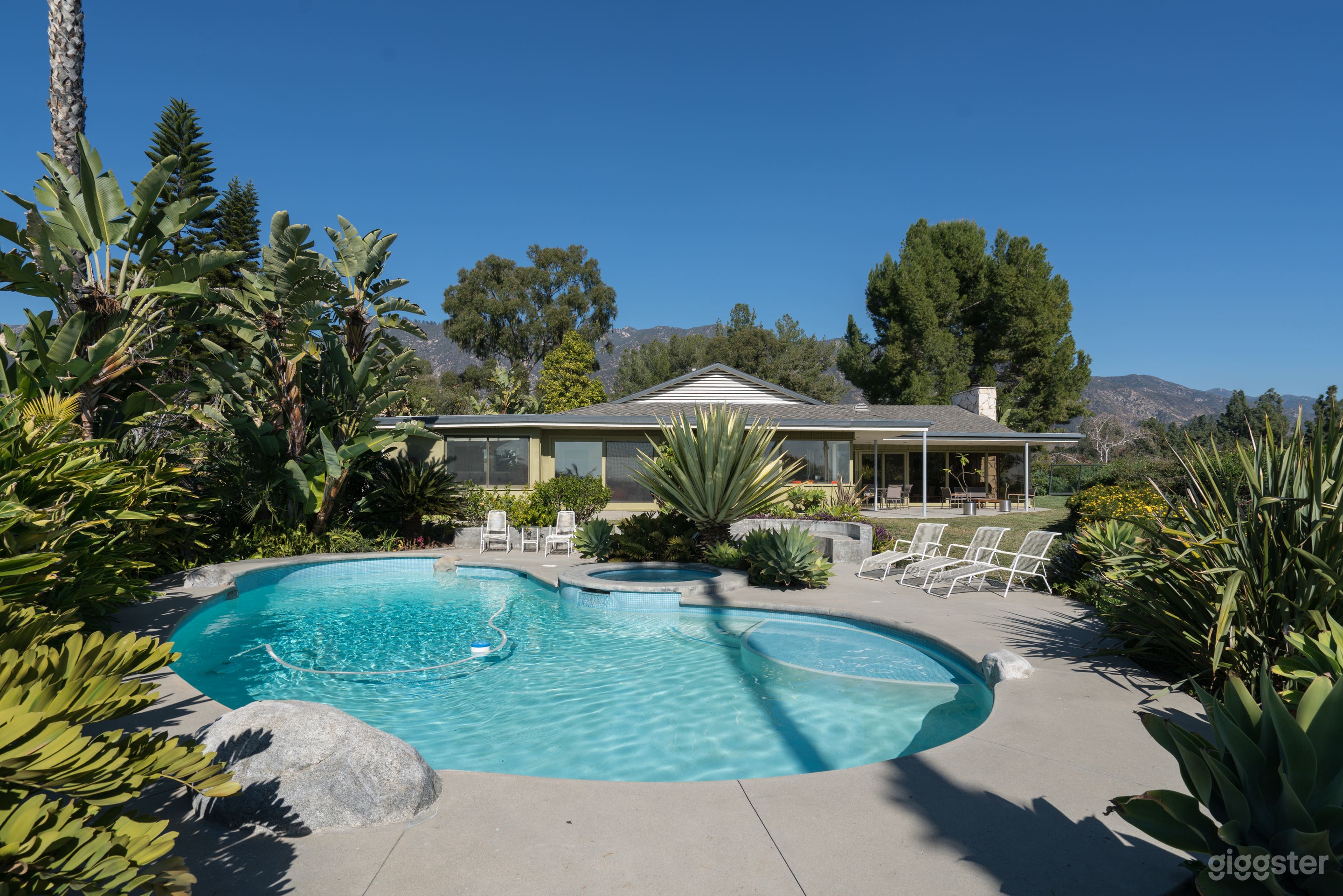 Paradise Pool Pad Photo 1