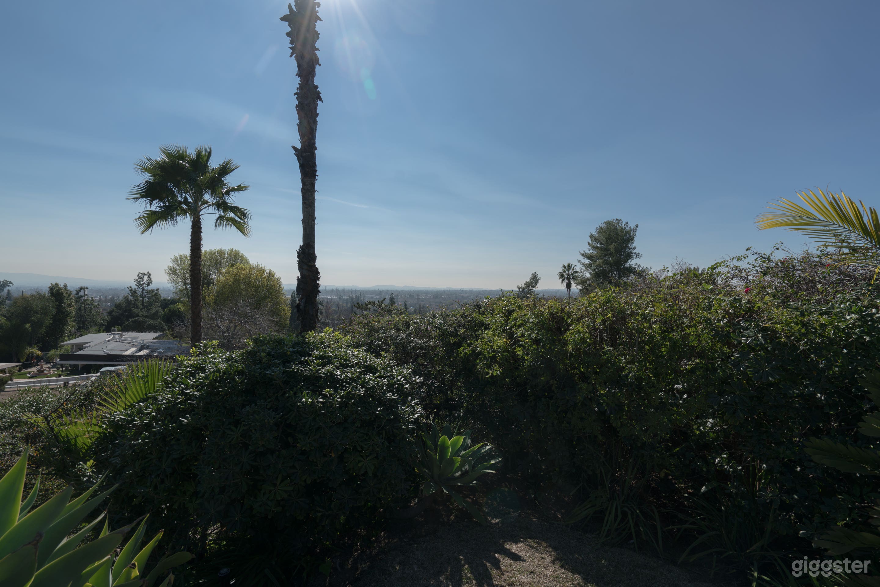 Paradise Pool Pad Photo 3