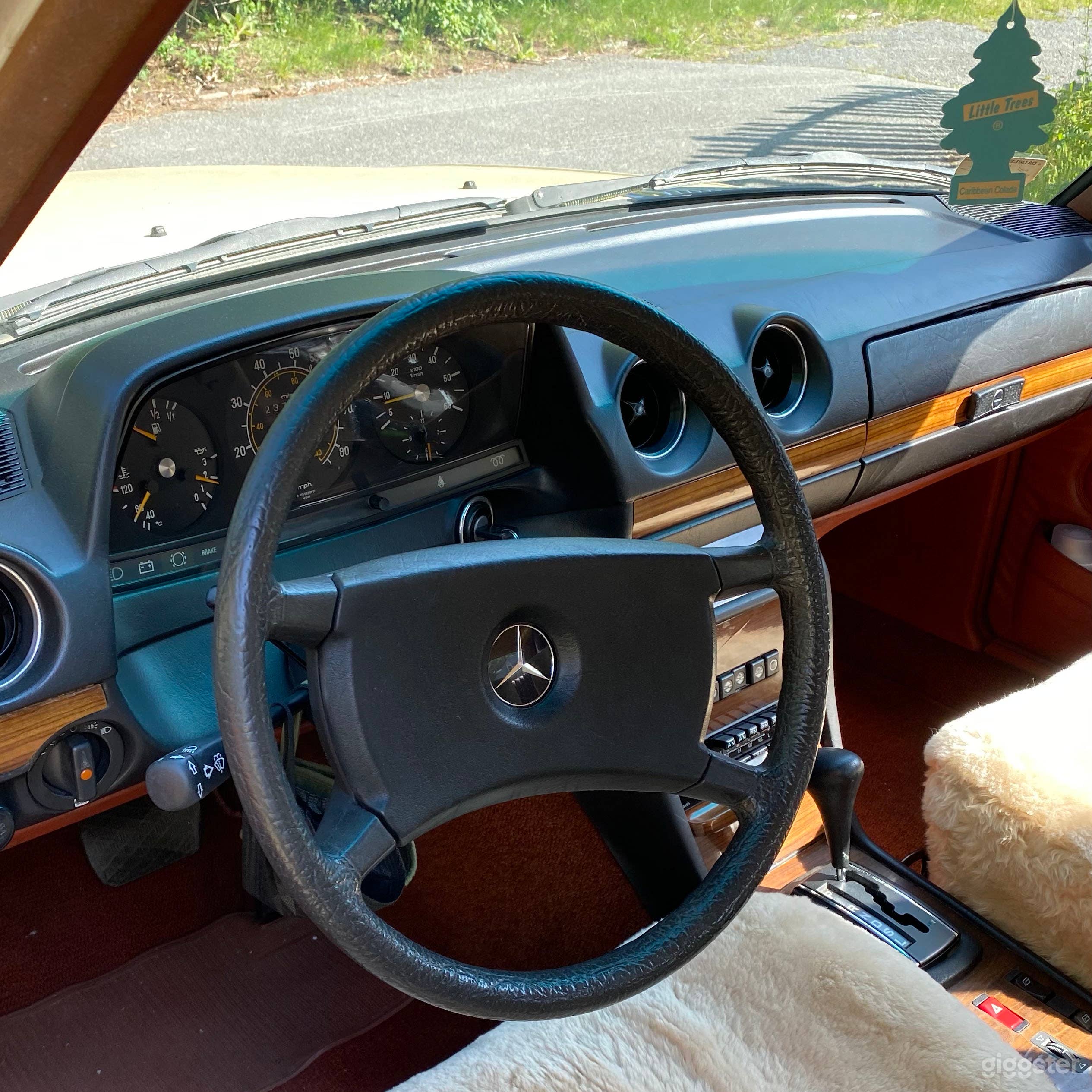 Classic 1982 Mercedes-Benz 300d Available for Rent Photo 3