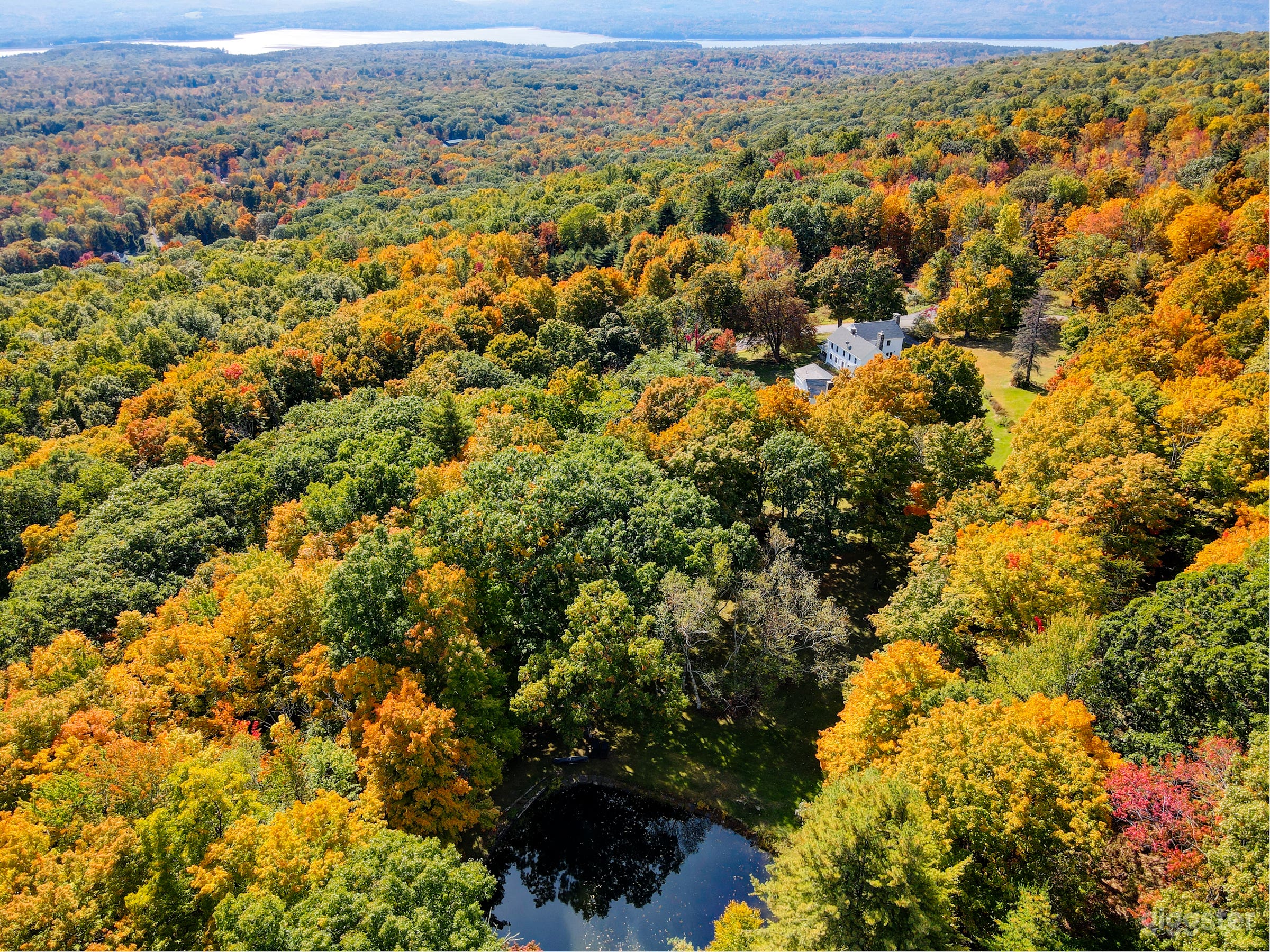 Aerial shot with the pond 
