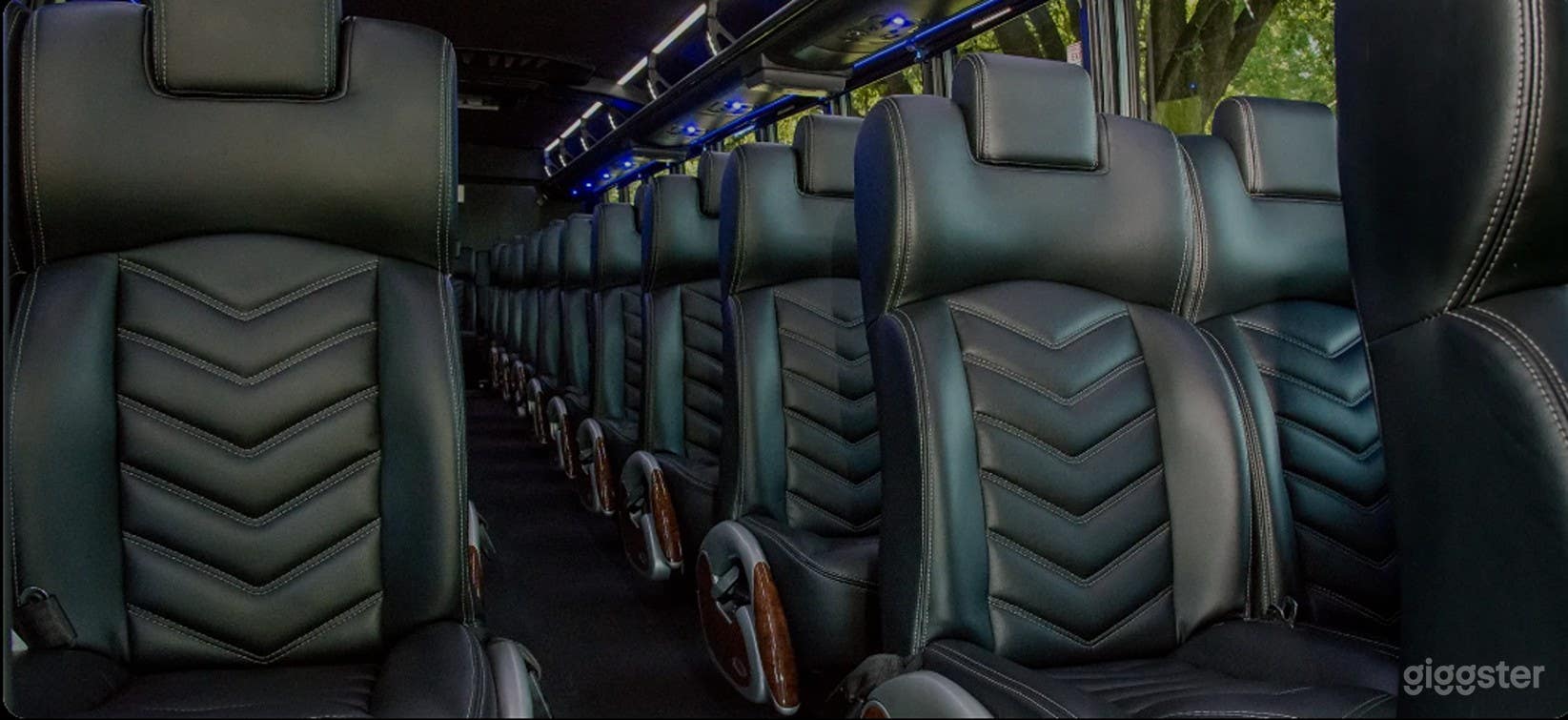 Premier Motorcoach Bus Photo 4