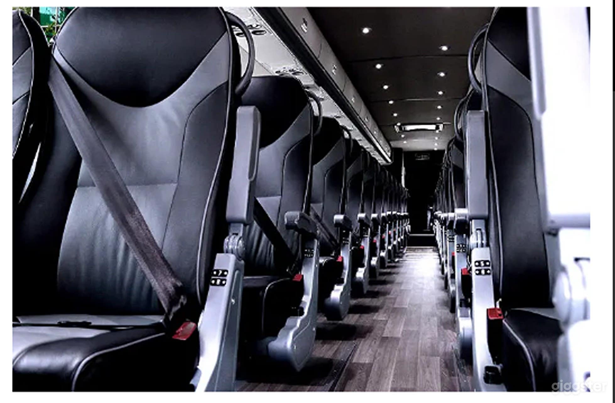 Premier Motorcoach Bus Photo 2