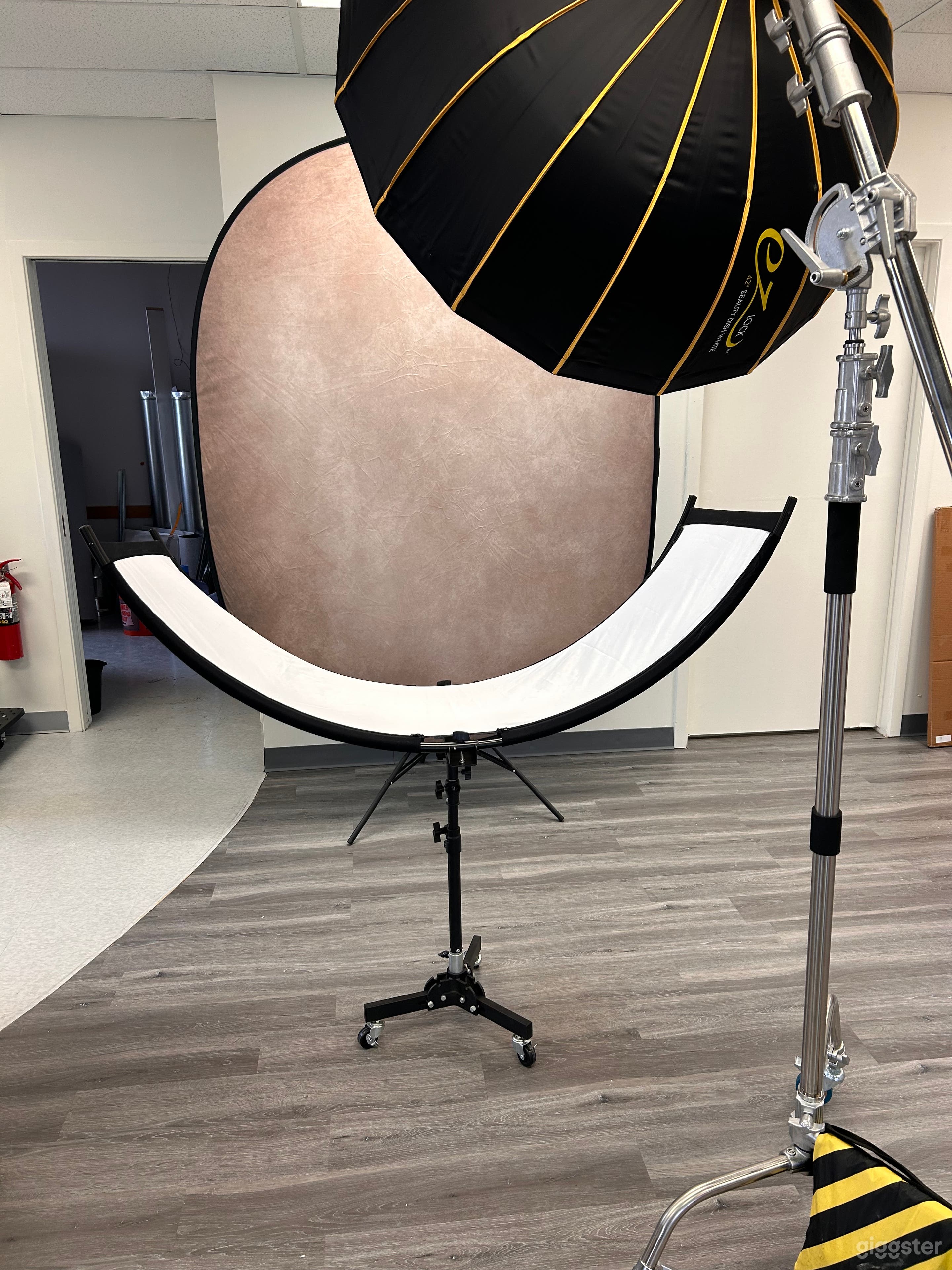Head Shot Area