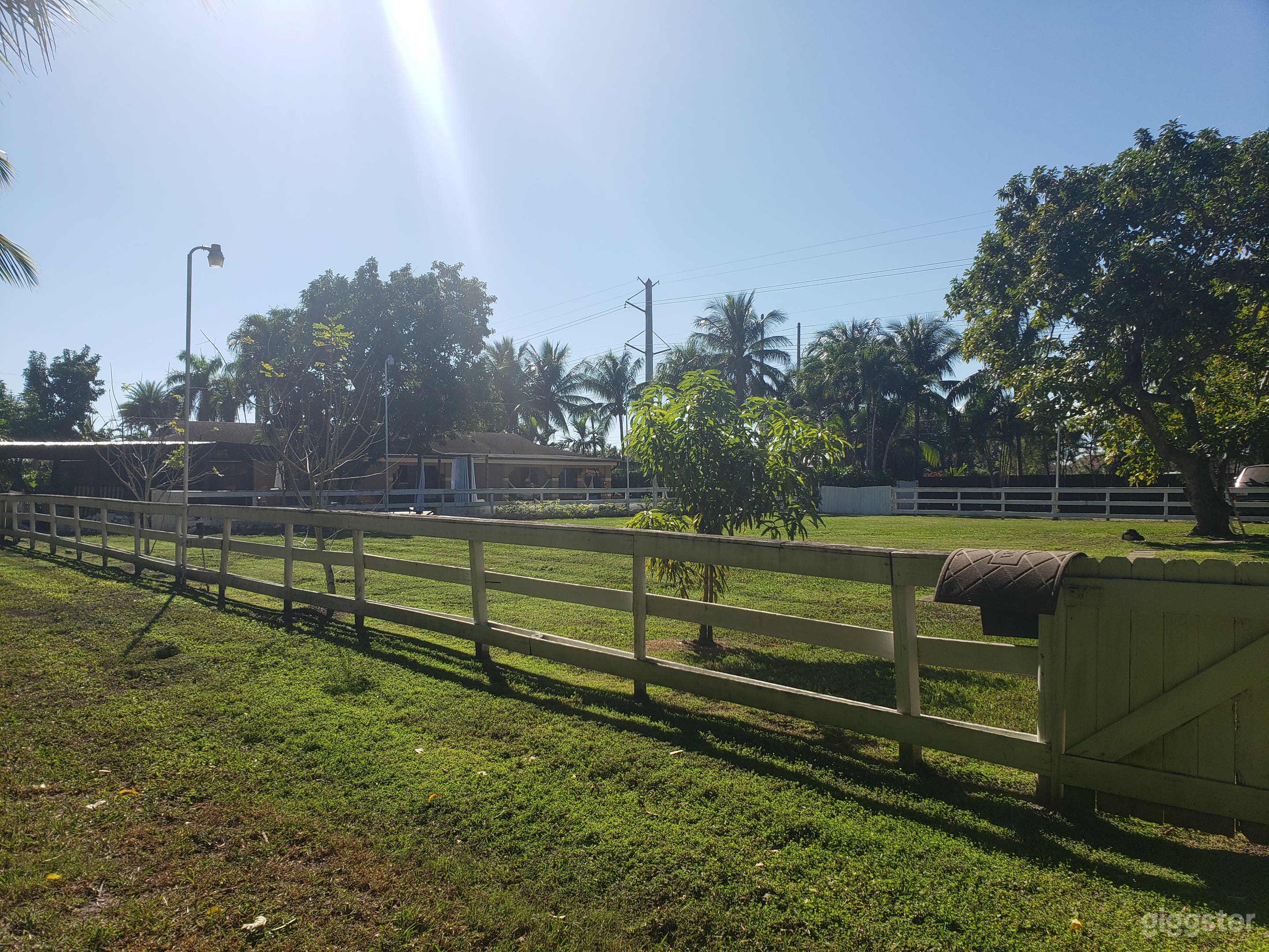 🌺 Talimita Oasis – Tropical Pool Estate &amp; Mini Ranch in Photo 3