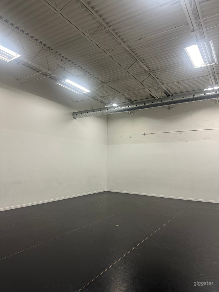  Estudio 2 