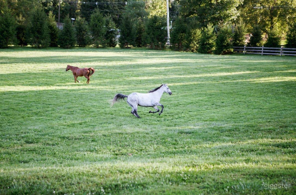 The Outdoors - An Equally Breathtaking Countryside Landscape Photo 3