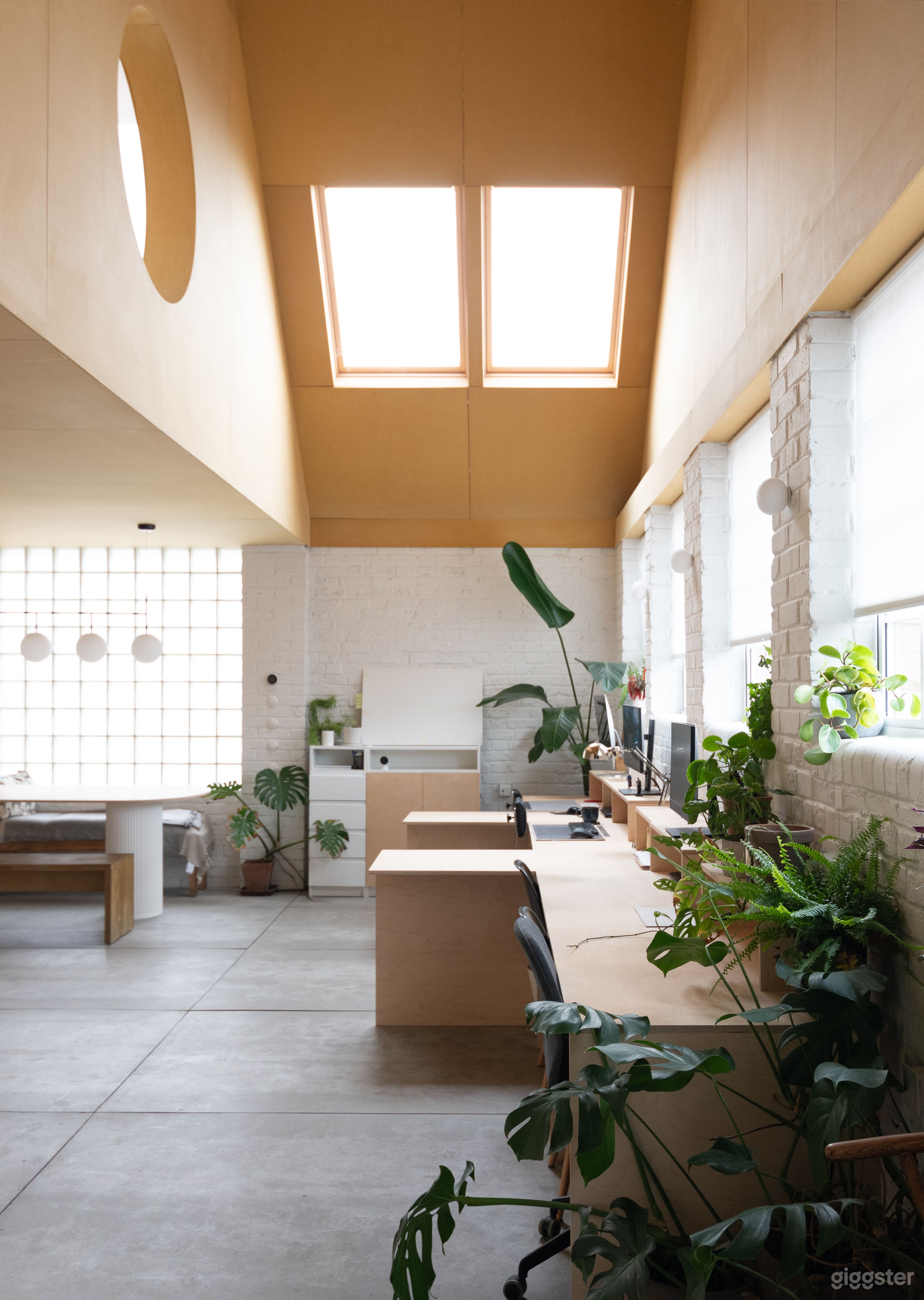 Main space with double height and yellow wood-clad ceiling