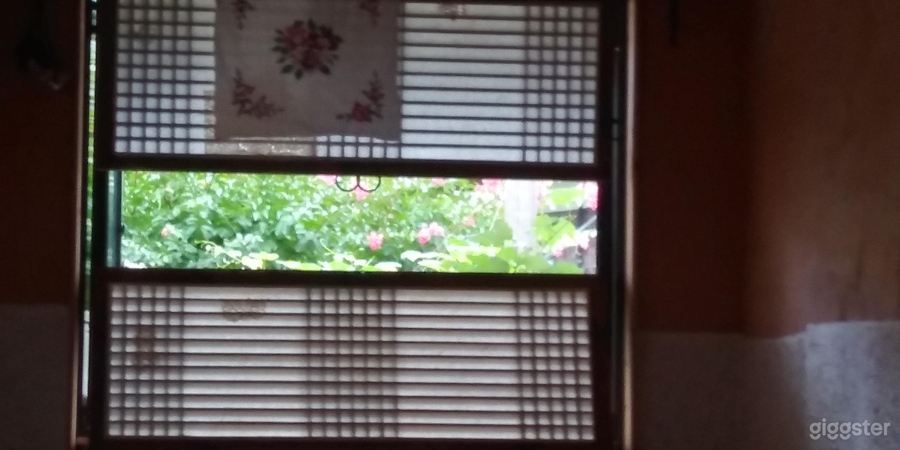 Charming Café with Garden Photo 3