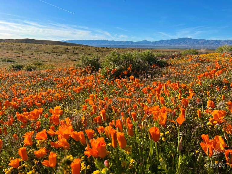  Desert Land in Hills and Trails of Poppy Reserve 