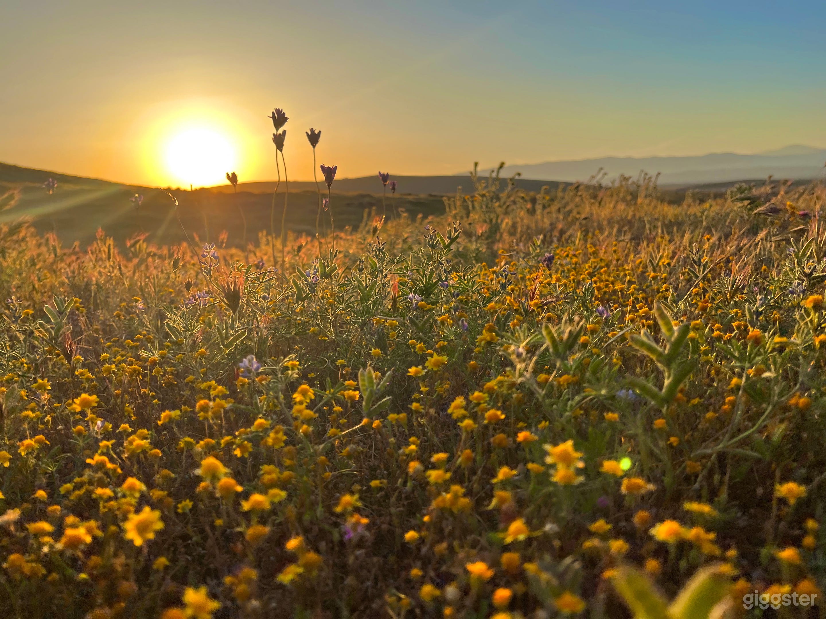 Desert Land in Hills and Trails of Poppy Reserve Photo 2