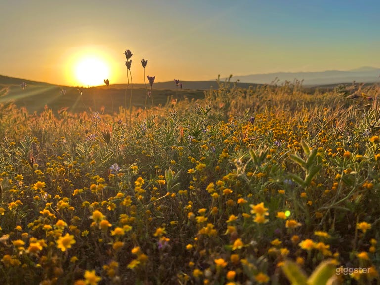  Desert Land in Hills and Trails of Poppy Reserve 