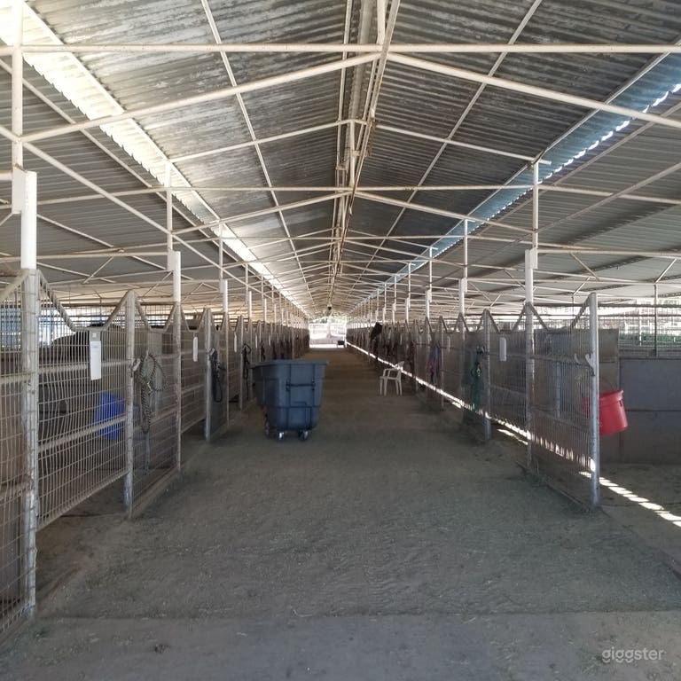  Polo Club Stables Lighted Arena & horse corals 