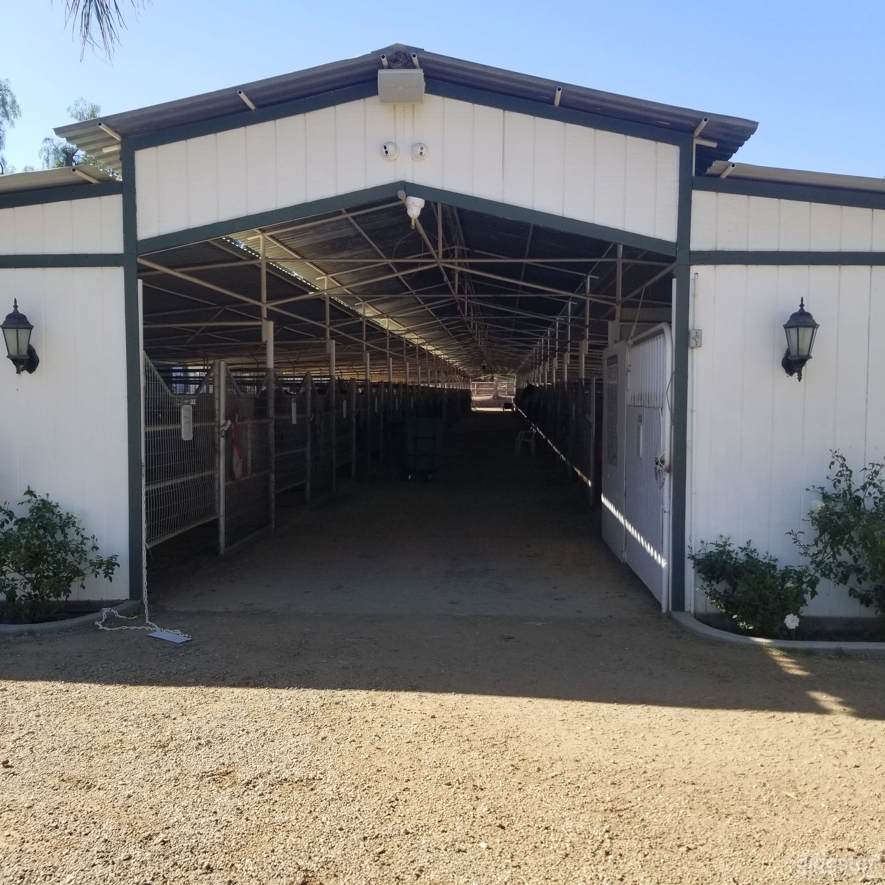 Polo Club Stables Lighted Arena &amp; horse corals Photo 4
