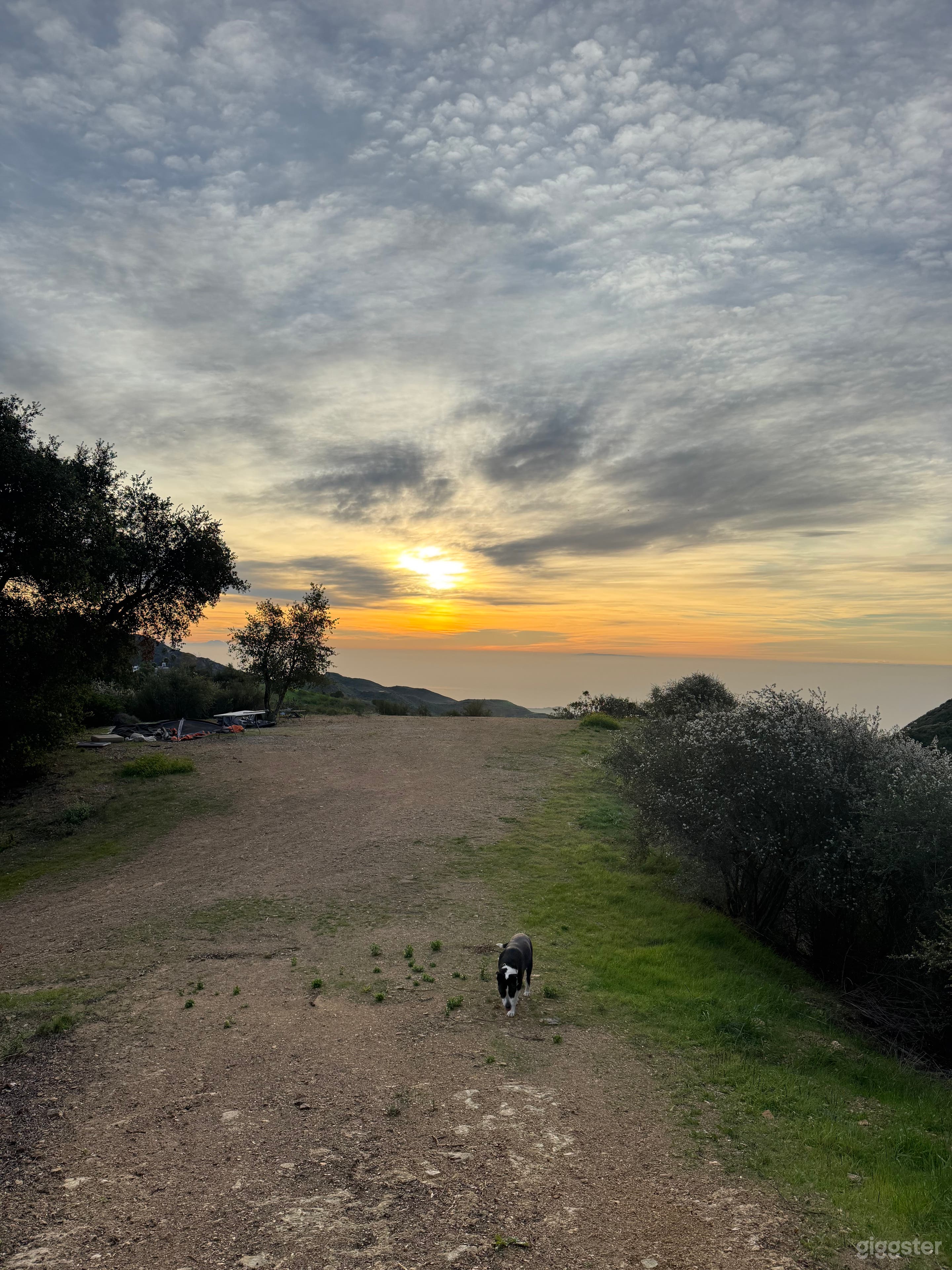 LookOut Ranch 20 Acre, Ocean Views, dirt roads  Photo 3