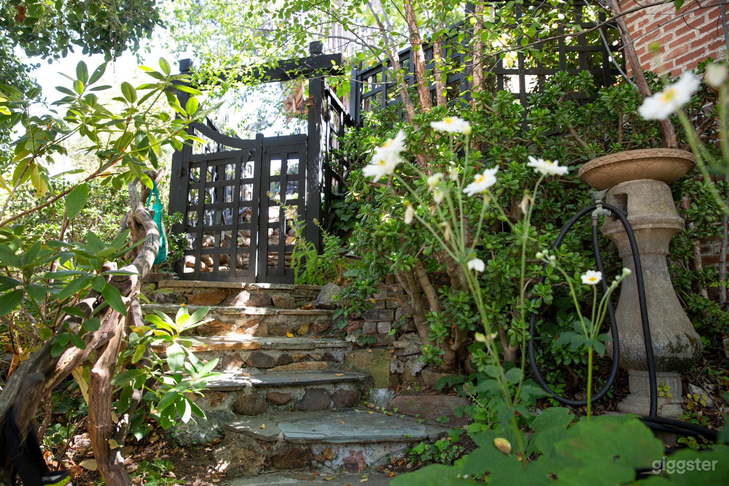 gate to backyard