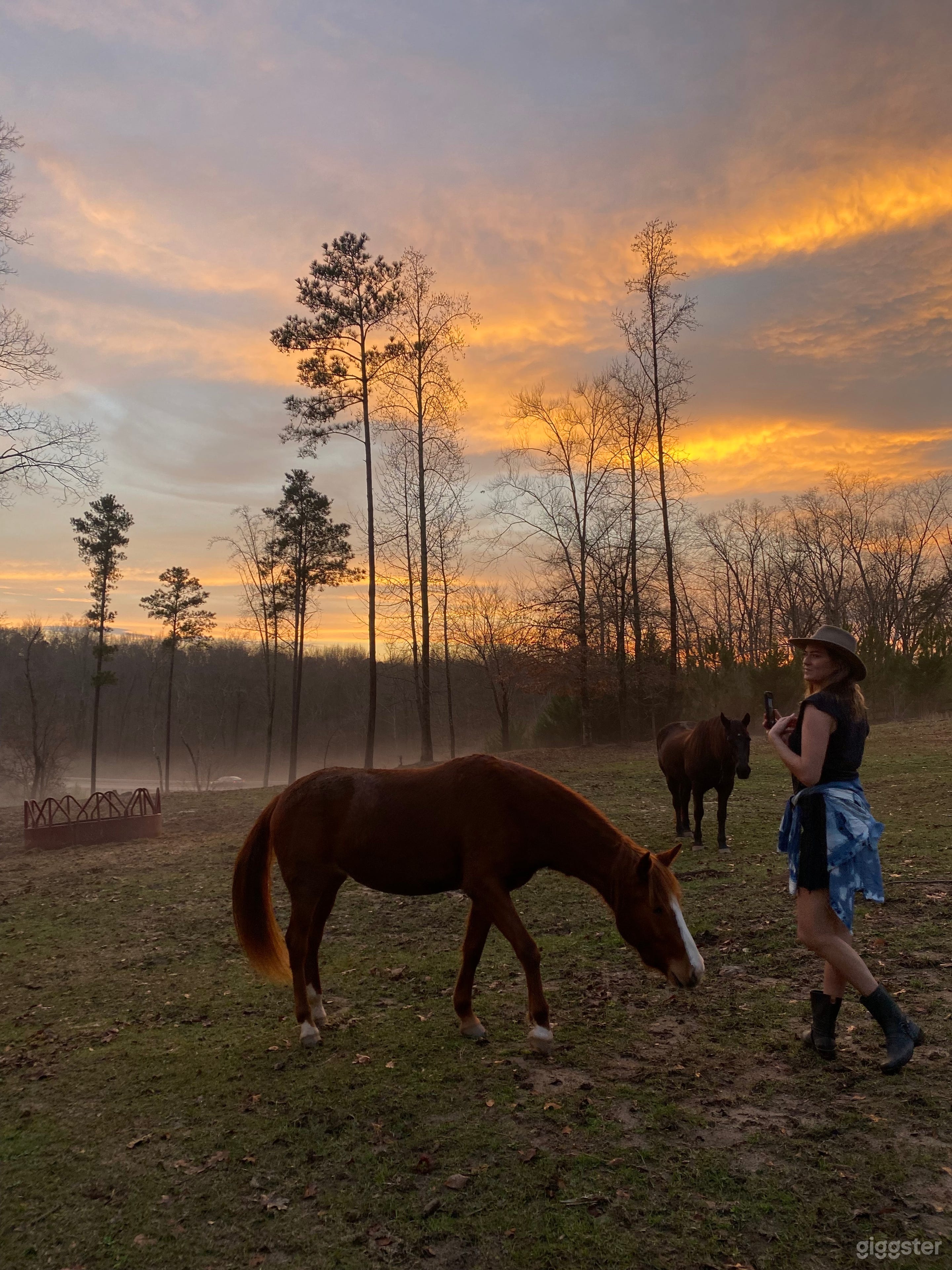 Beautiful 15 acre mini ranch, 4200 sq home, horses, pool, forest, pasture and many locations Photo 2