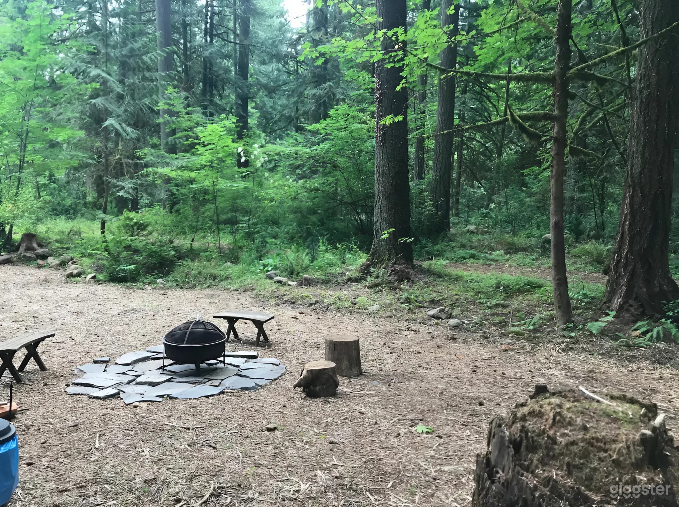 Scenic Tent Sites with Bath House Access – Meadow, Garden &amp; Forest Options Photo 1