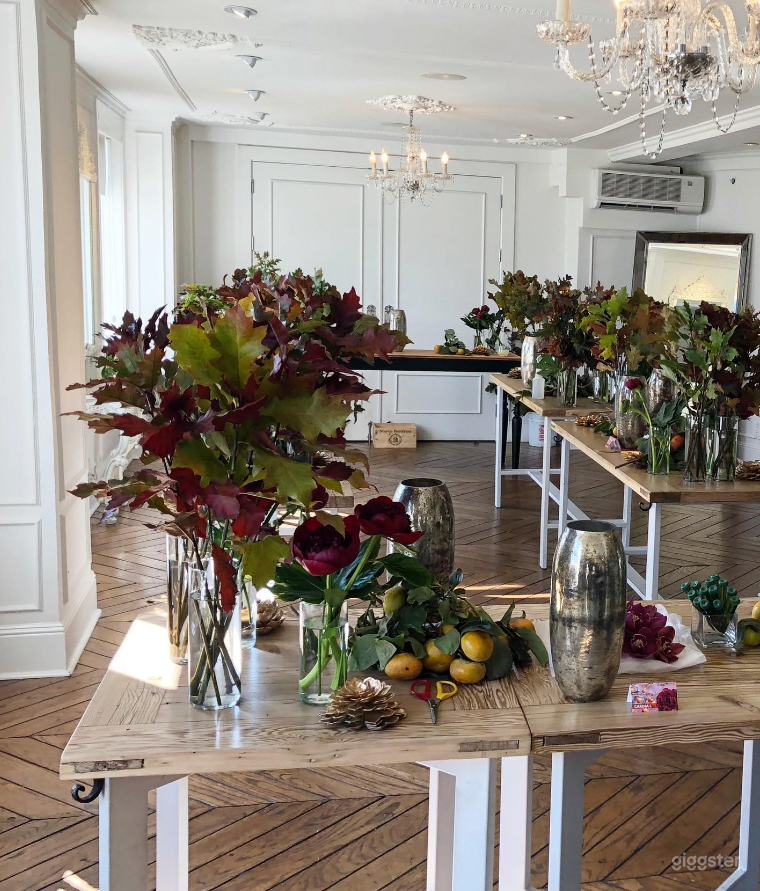  The Versatile Studio 