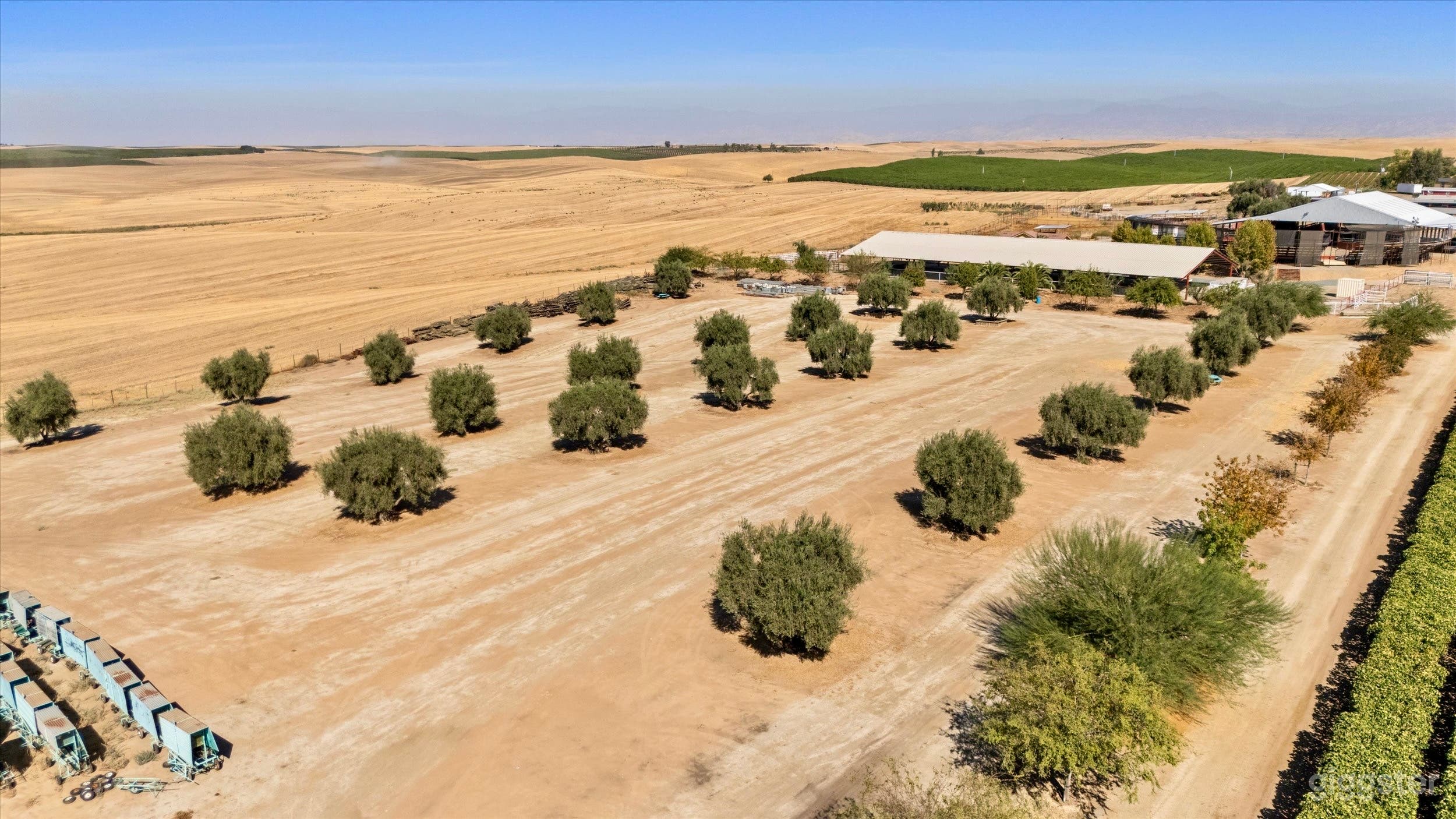 The Vineyard and outdoor Arena Experience Photo 4