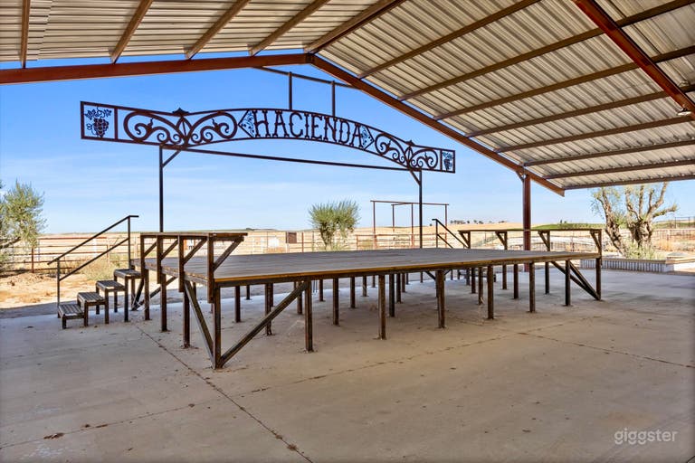  The Vineyard and outdoor Arena Experience 