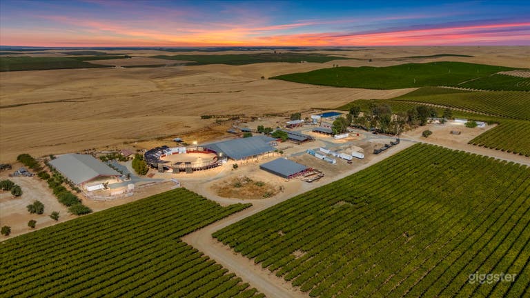  The Vineyard and outdoor Arena Experience 