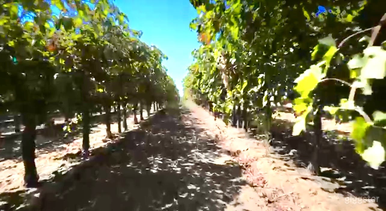 The Vineyard and outdoor Arena Experience Photo 3