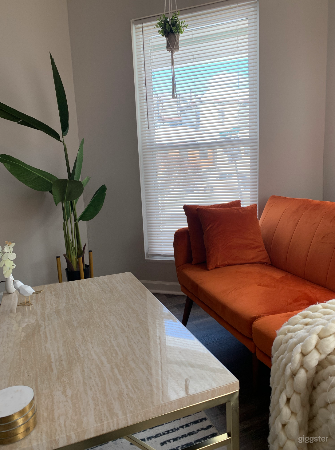 Bold Colors with Modern Urban Style Photo 4