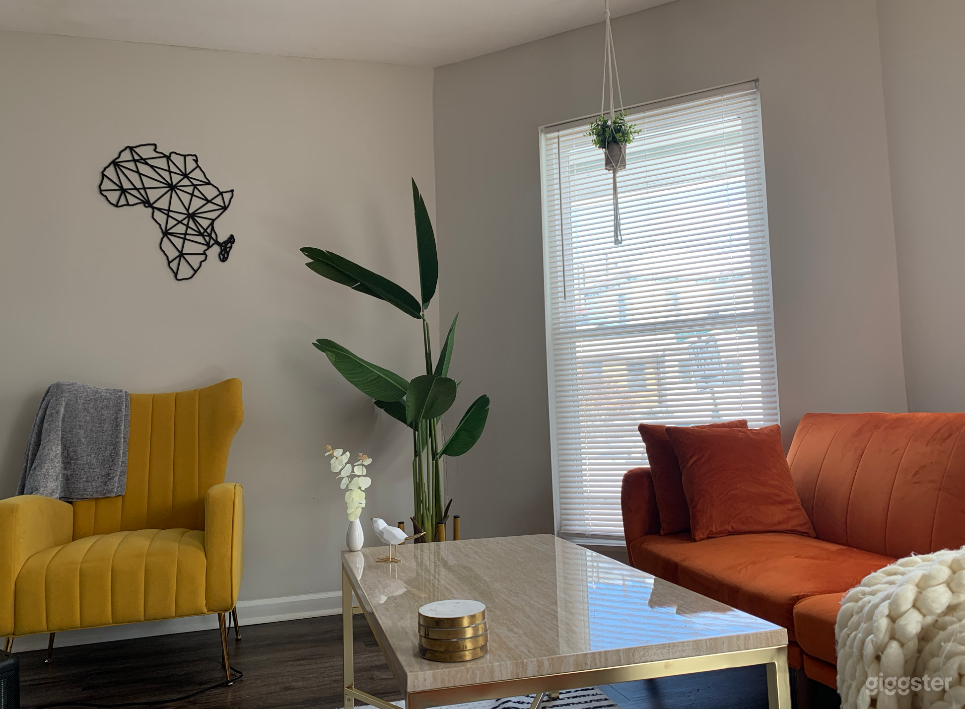 Bold Colors with Modern Urban Style Photo 2