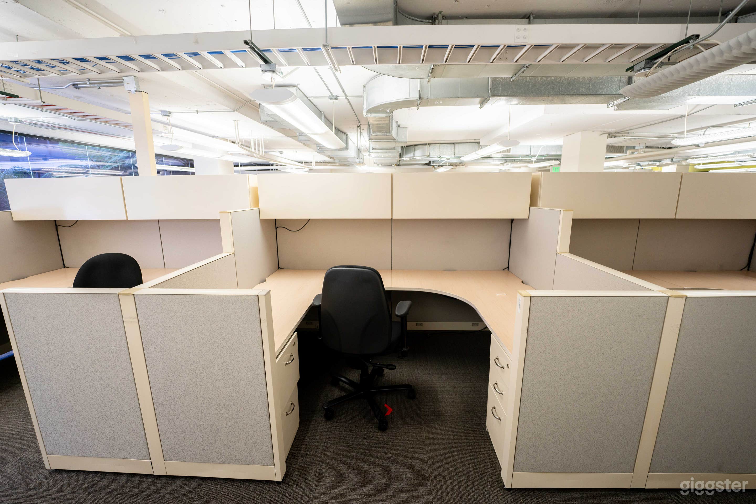 Furnished Office Cubicles