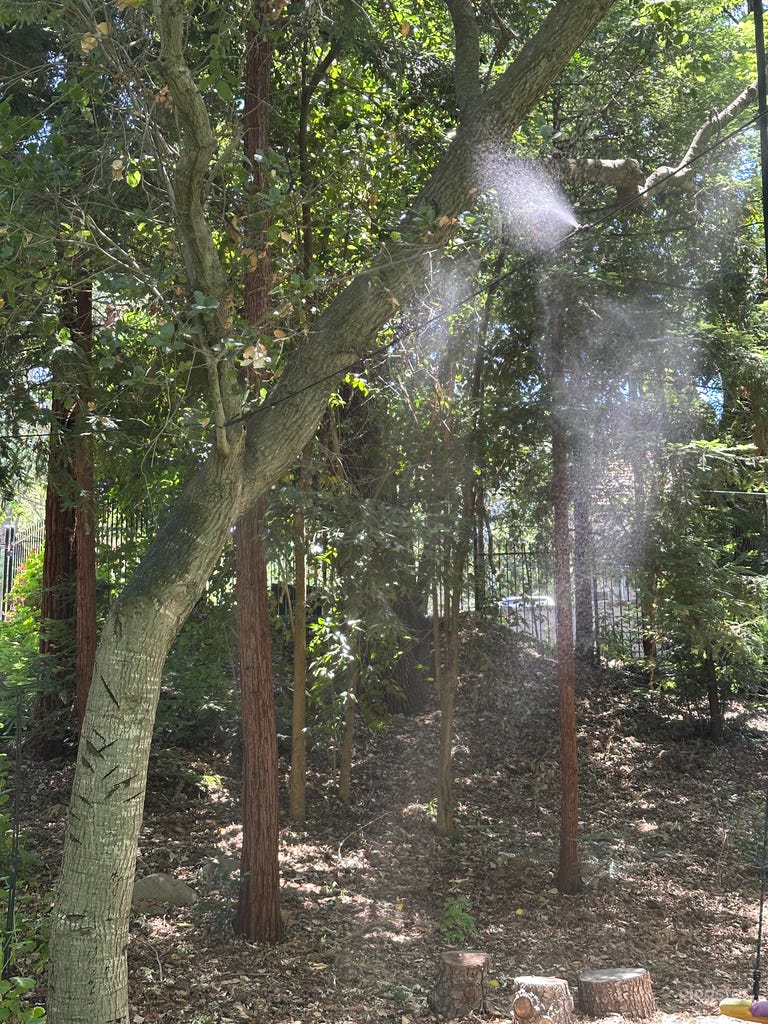  Cooling Mist Spray across the venue 