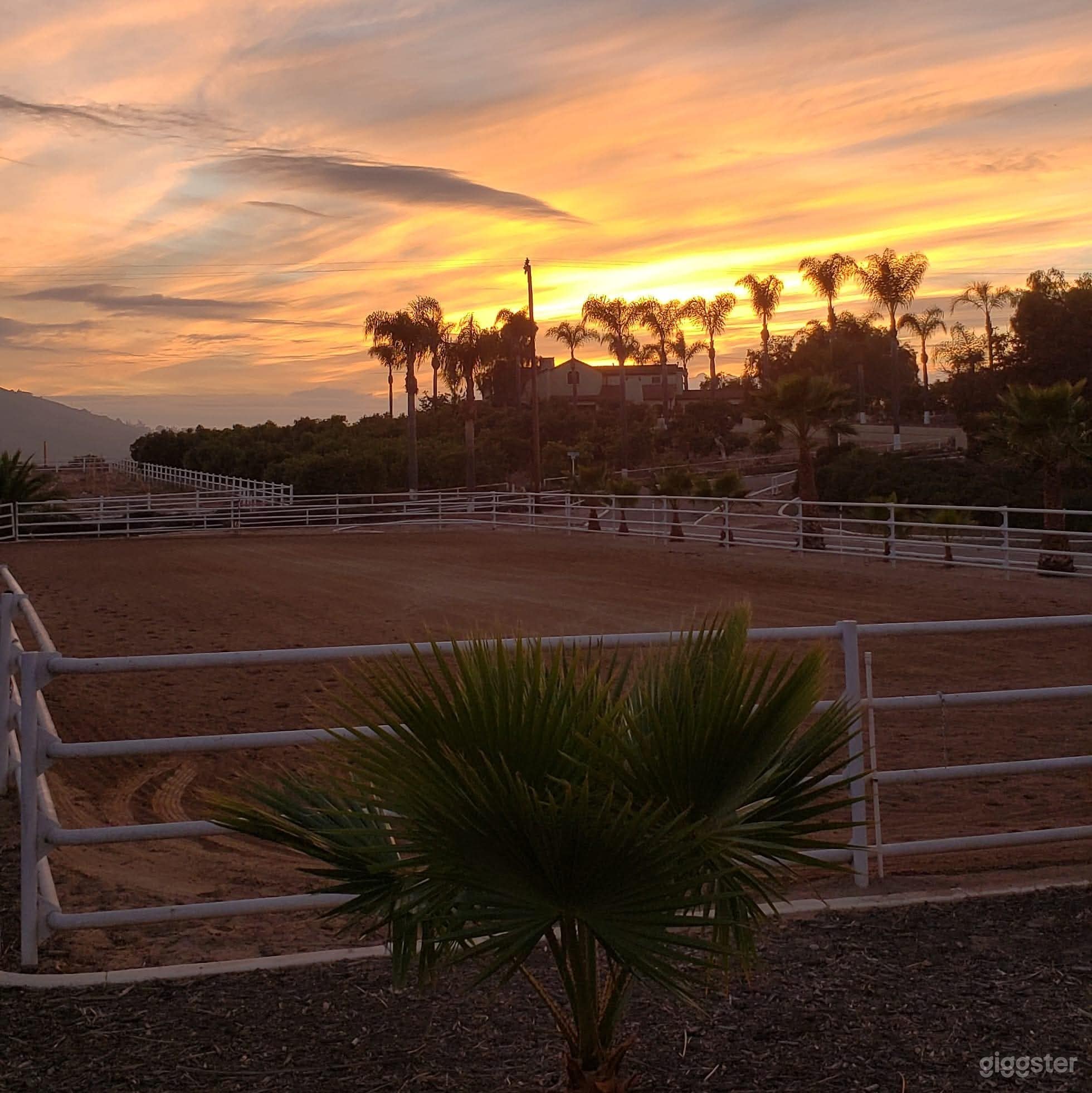 Scenic Horse Ranch & Animal & Hobby Farm in Moorpark Photo 4