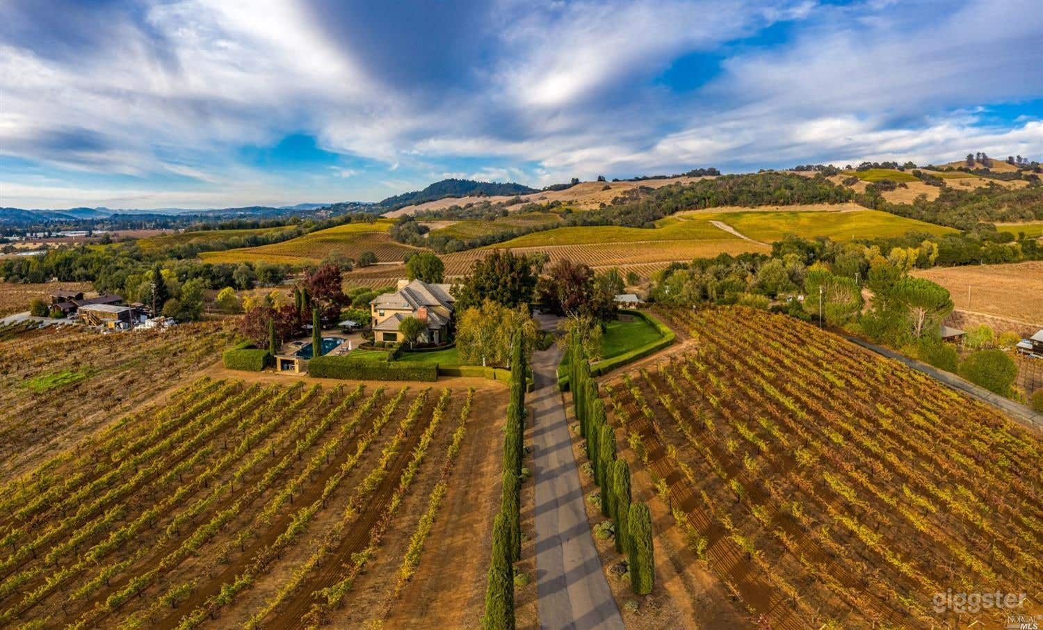 Spectacular Hilltop Vineyard Estate / Healdsburg, CA Photo 1