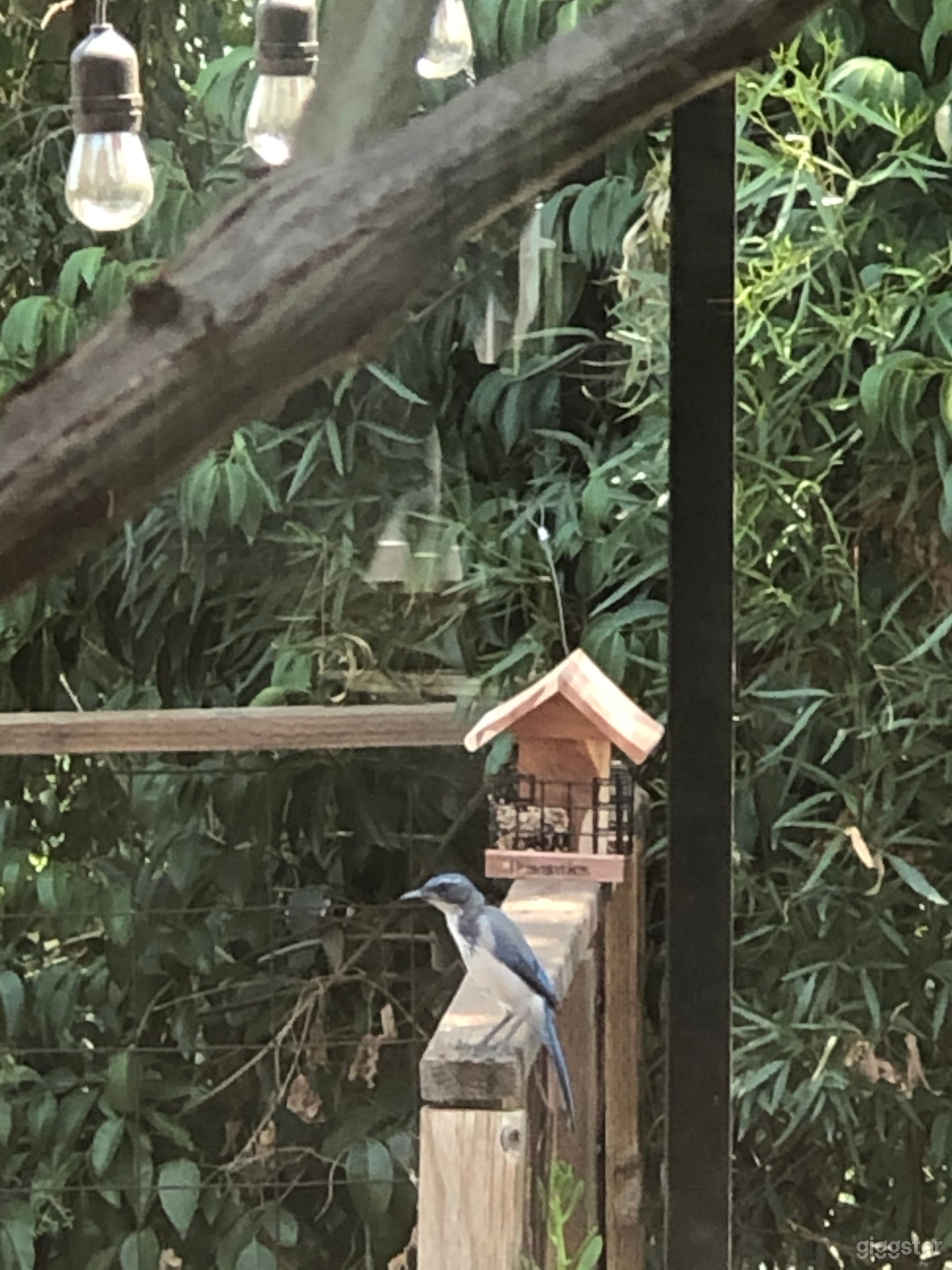 Unique gem in Newhall ca Photo 3