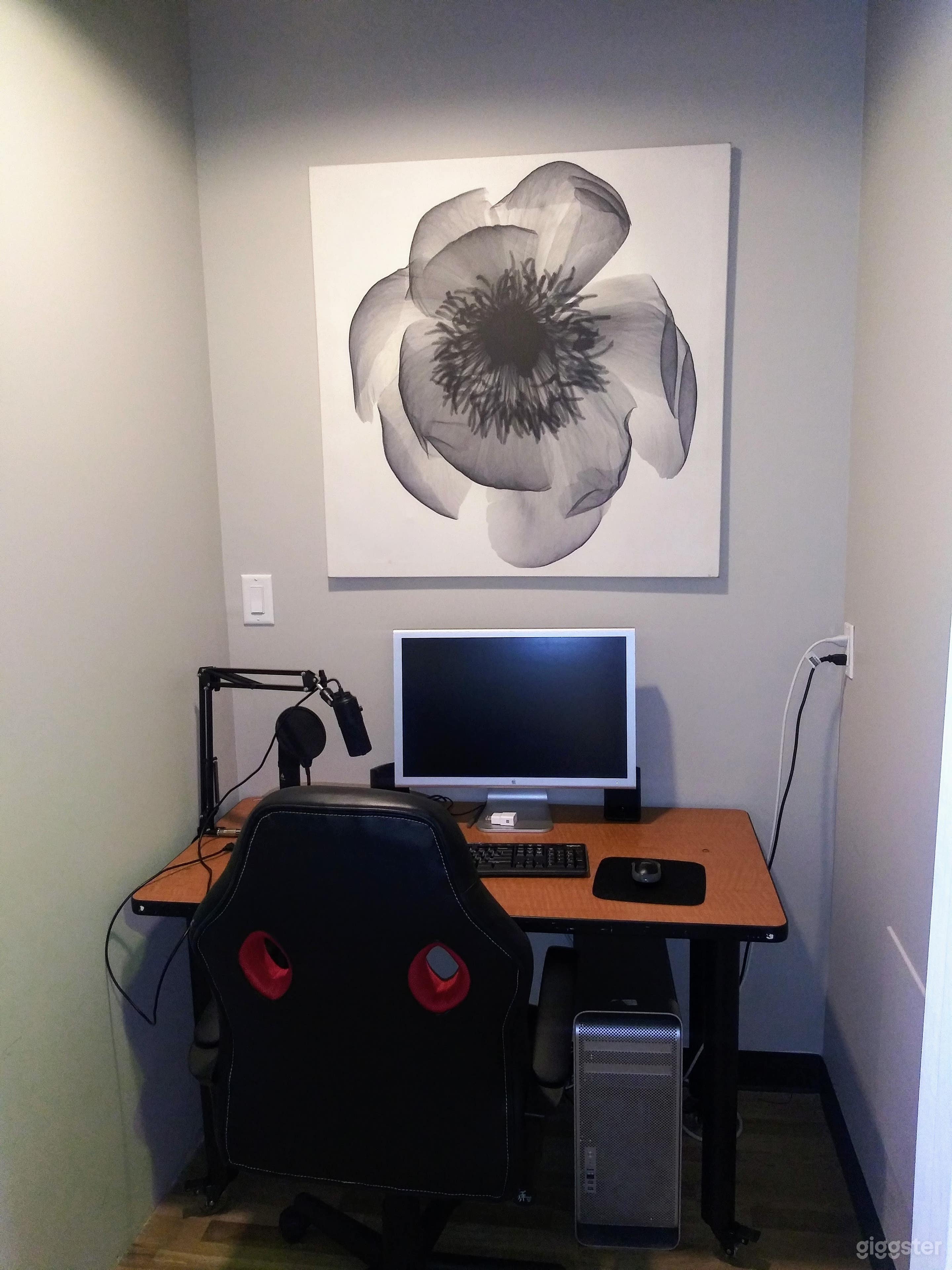 Elegantly decorated multifunctional broadcast /pod Photo 3